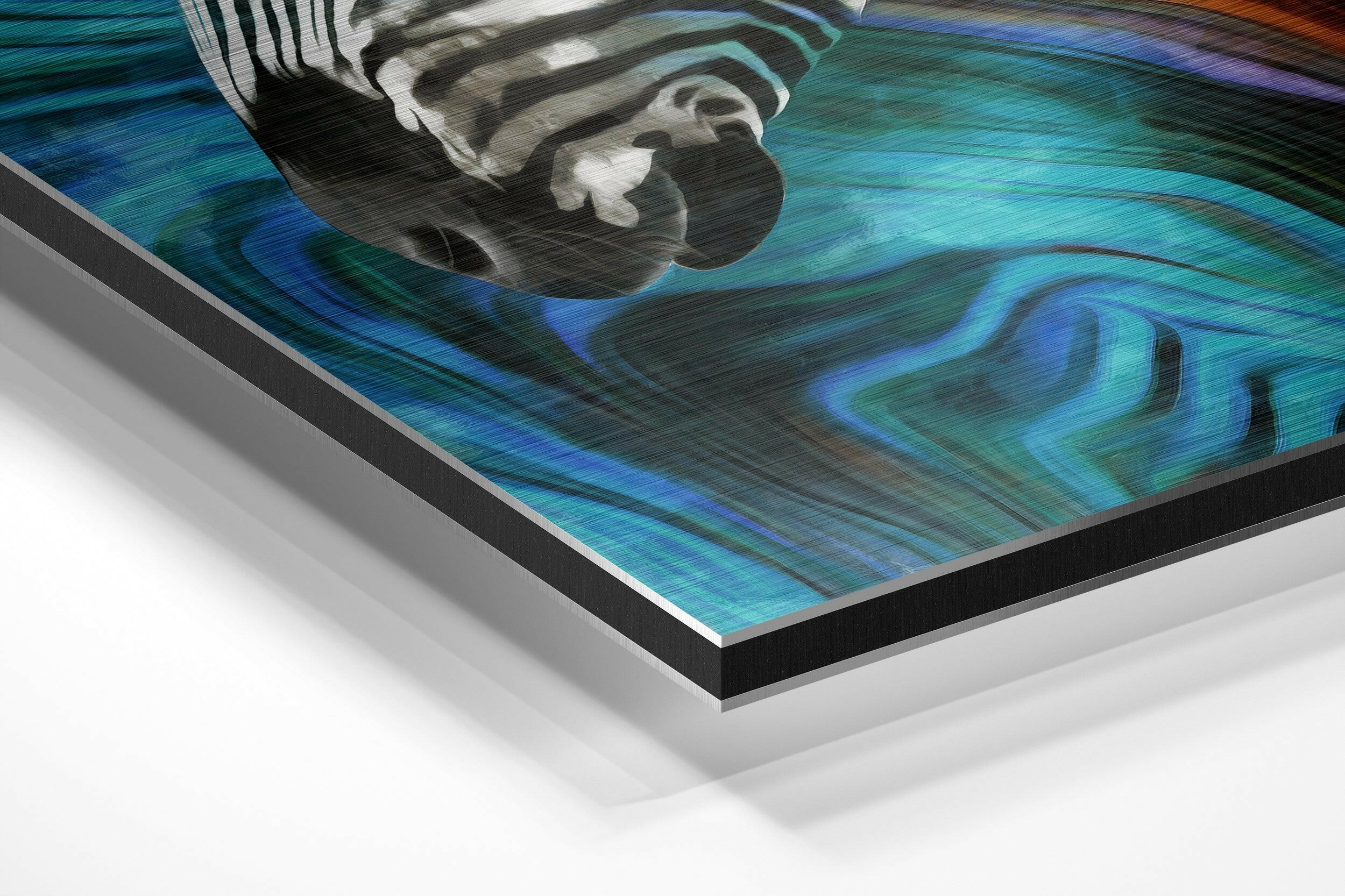 Rainbow Painted Zebra Profile Brushed Aluminium Dibond Wall Art