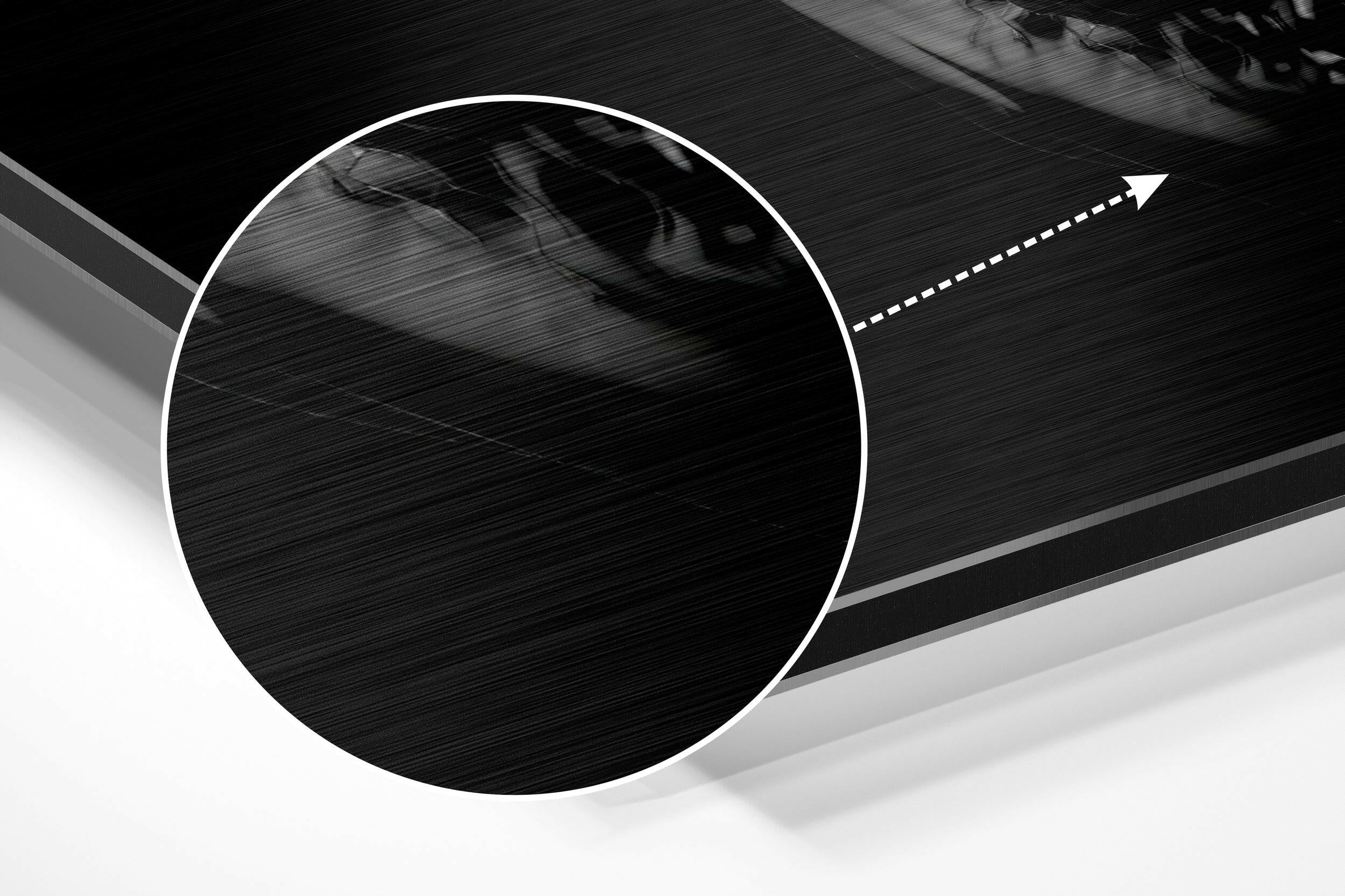 Chrome Skull Brushed Aluminium Dibond Wall Art