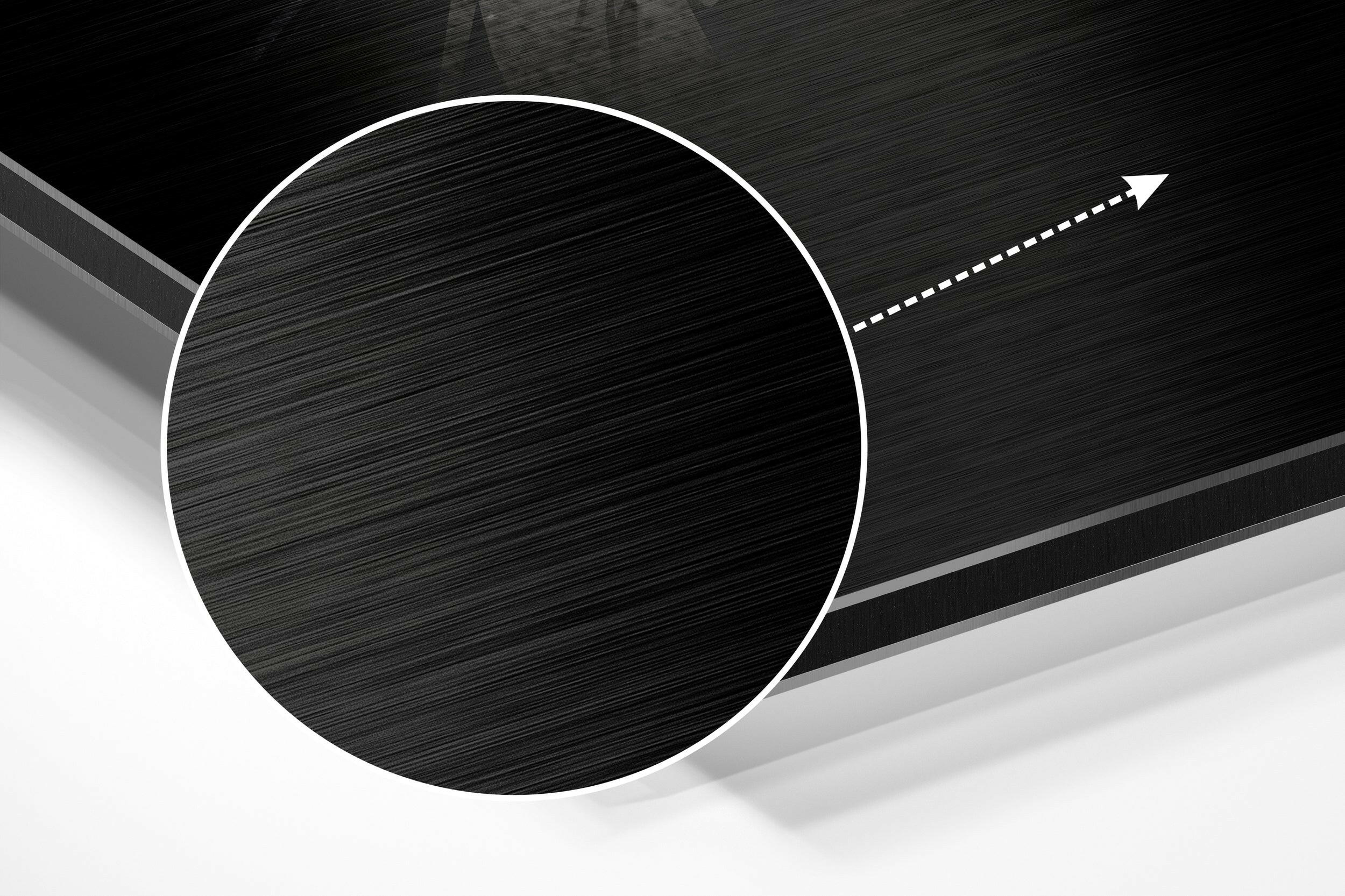 Bird Brushed Aluminium Dibond Wall Art