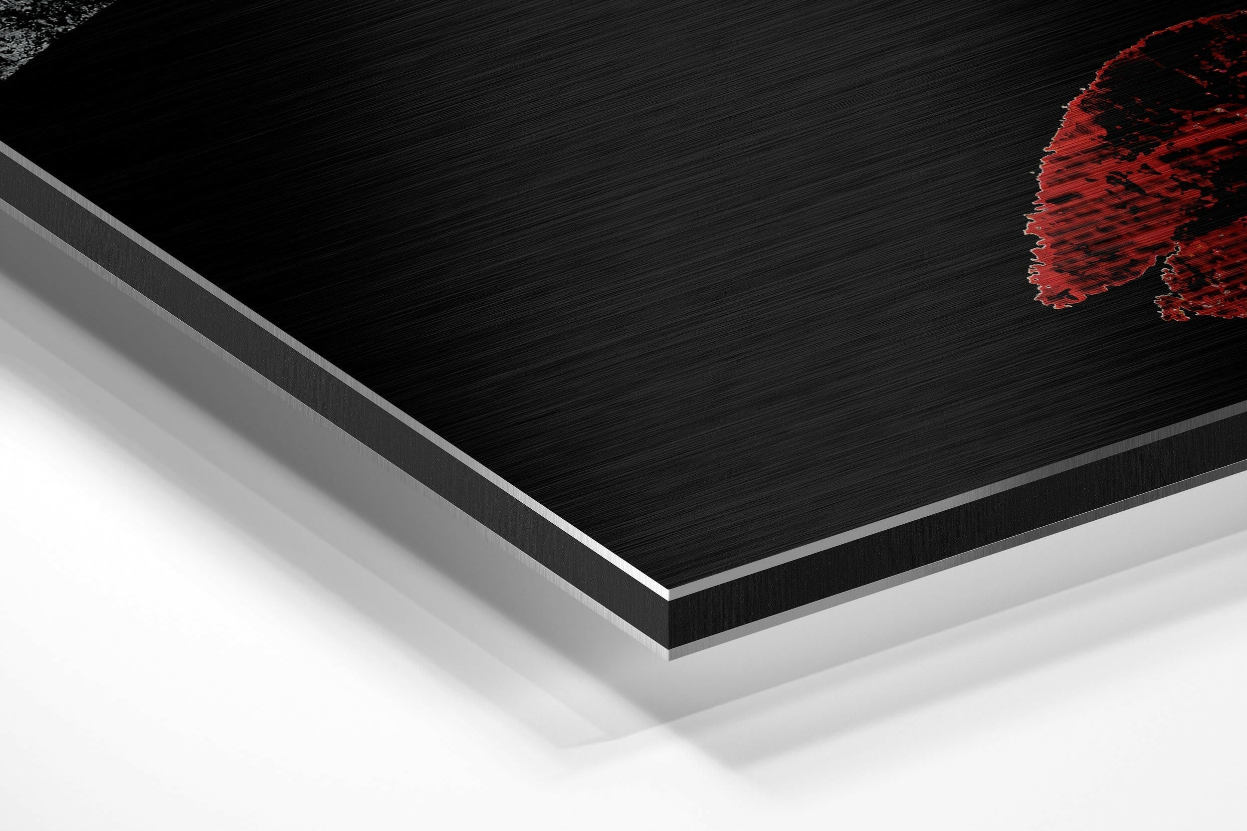 Divided Brushed Aluminium Dibond Wall Art