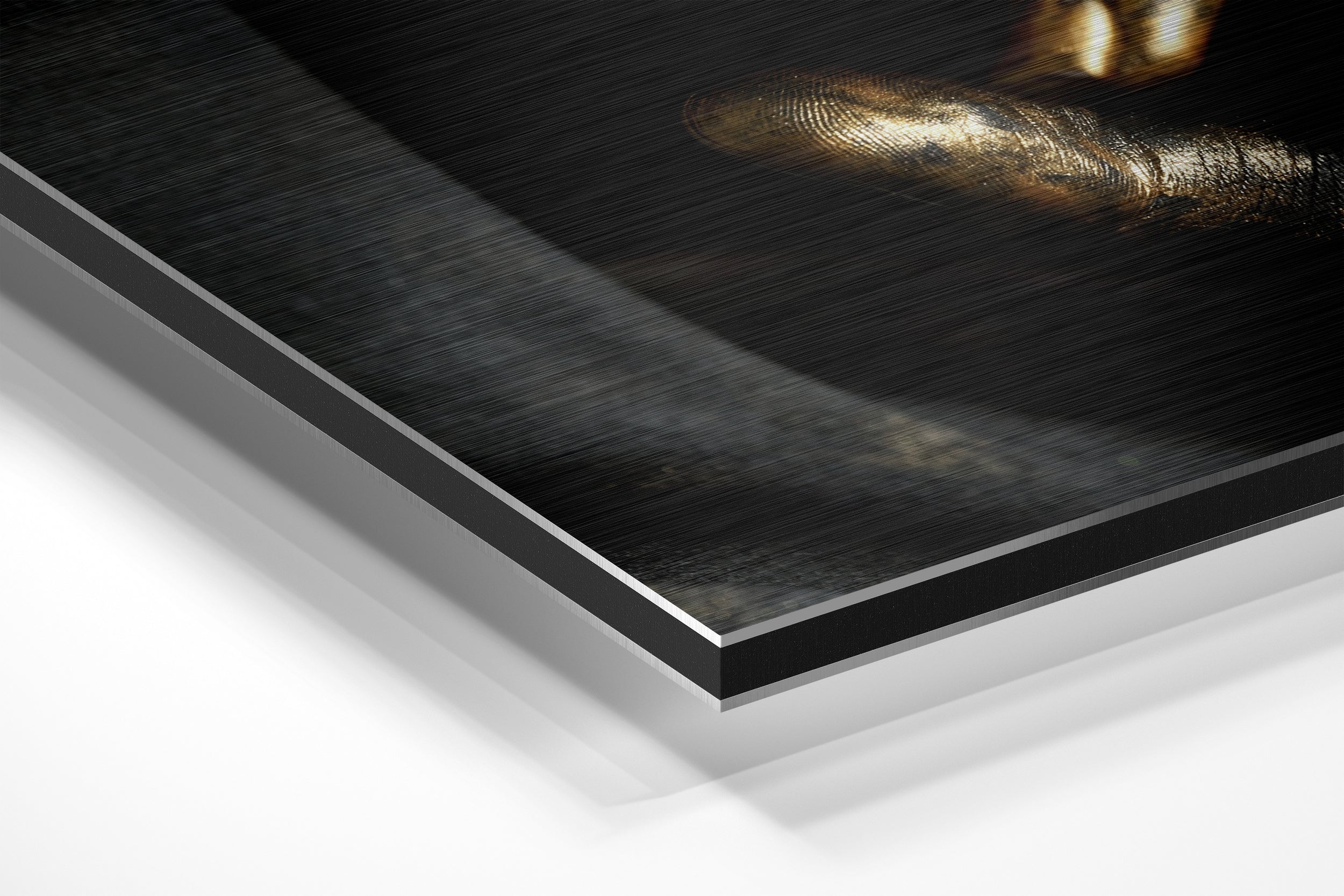 Shh Brushed Aluminium Dibond Wall Art