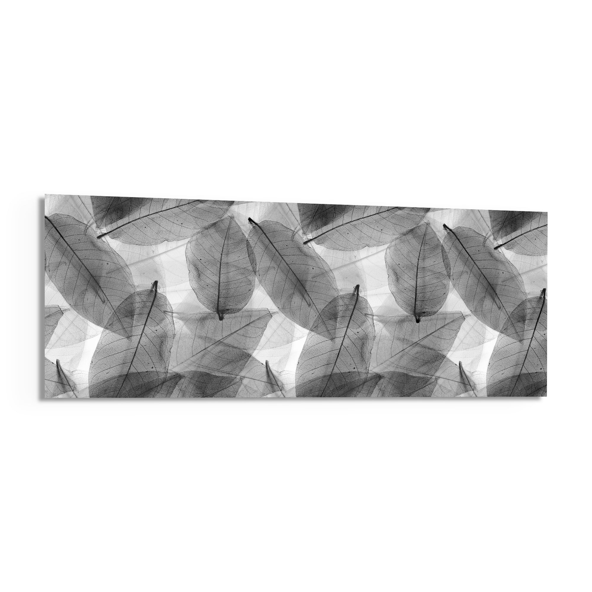 Black - White Leaves Glass Wall Art (36"x14")