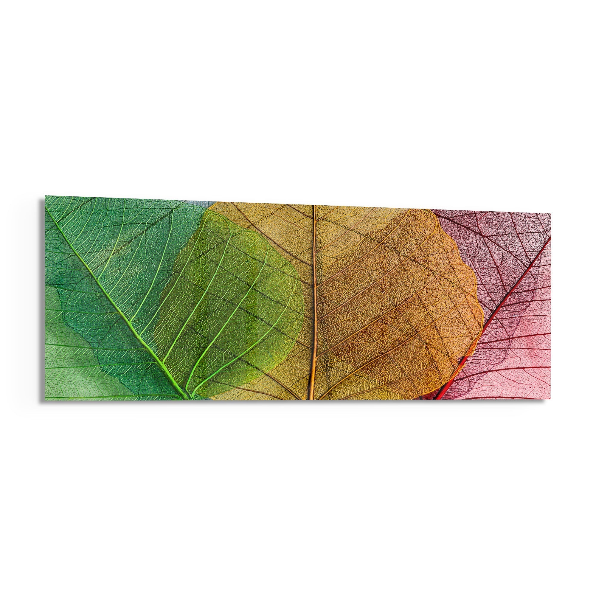 Leaves Glass Wall Art (36"x14")
