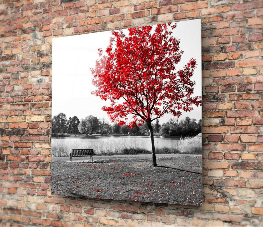Red Tree Lakeside Bench Glass Wall Art