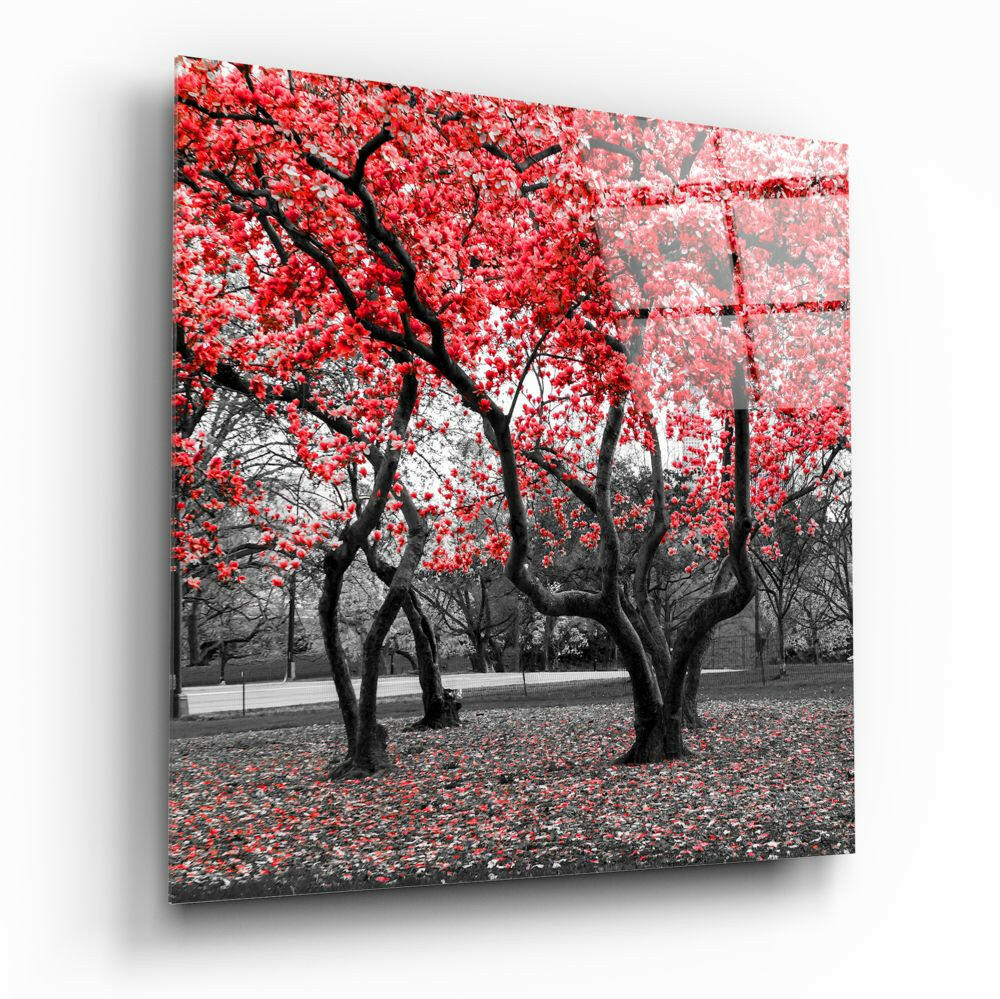 Red Blossom Park Grove Glass Wall Art