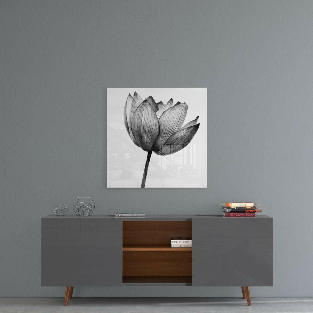 Translucent Gray Tulip Glass Wall Art