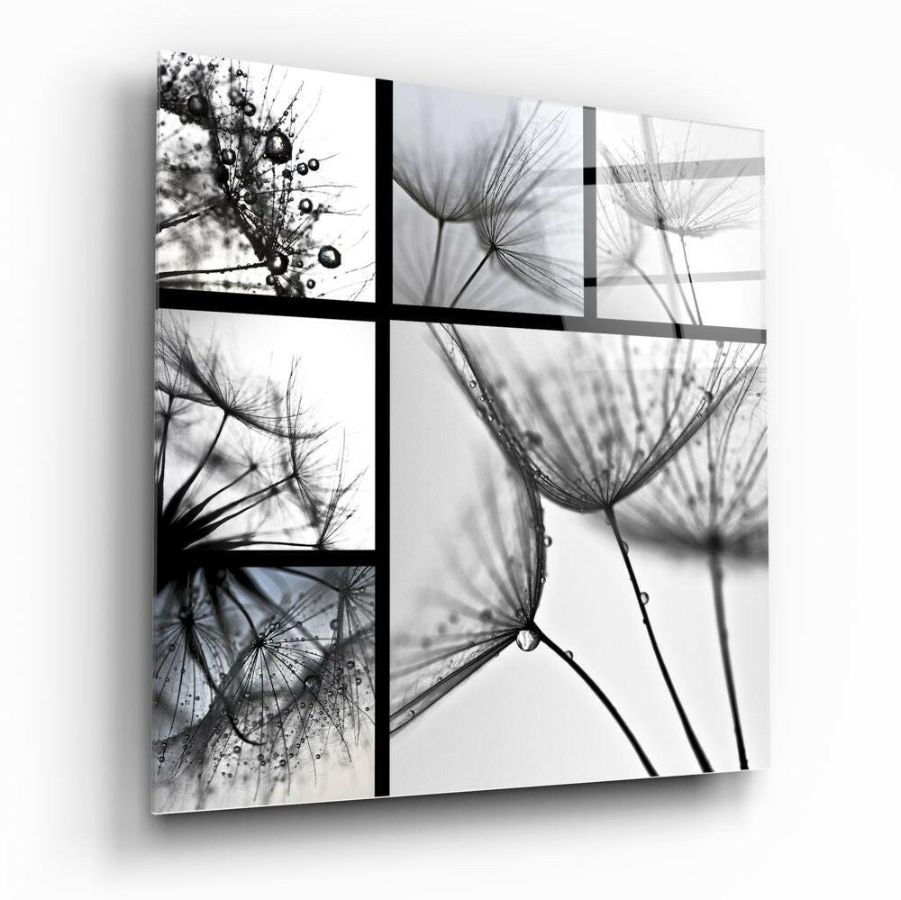Monochrome Dandelion Collage Glass Wall Art