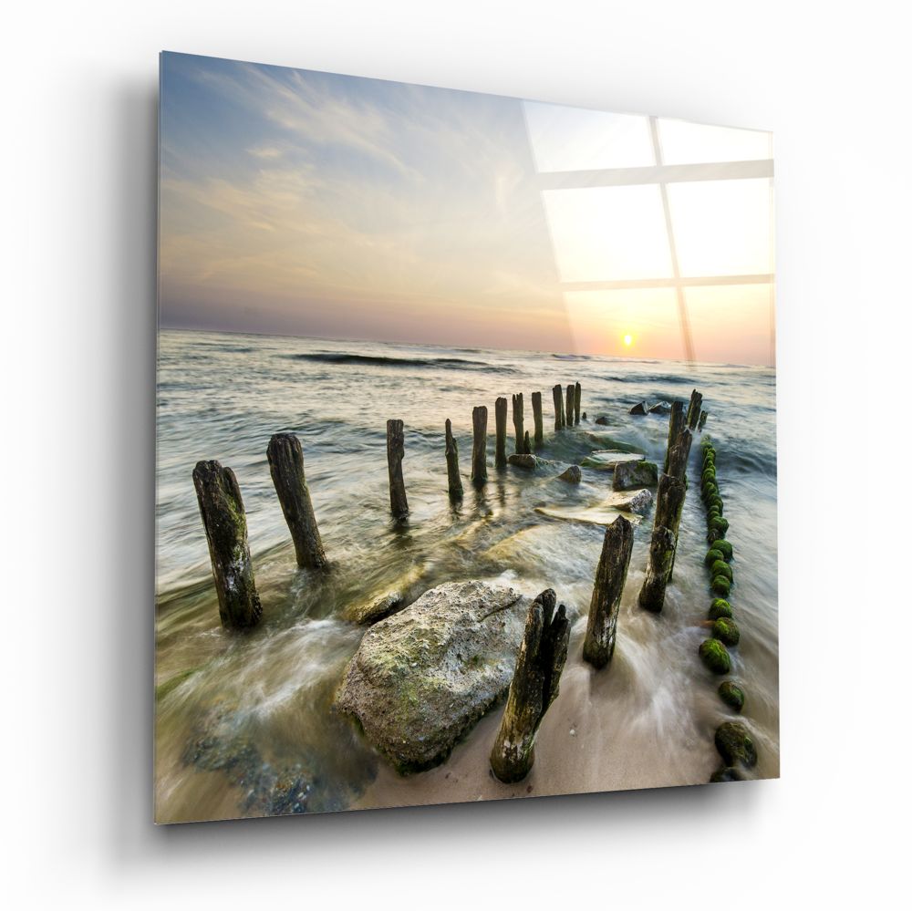 Mossy Sea Groynes Dock Glass Wall Art