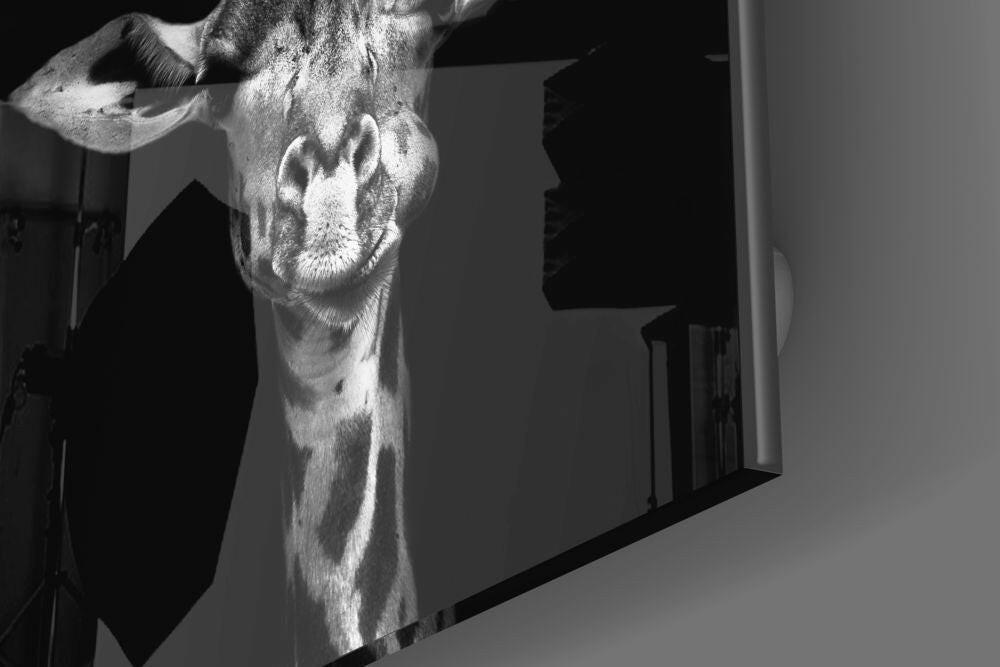 Black and White Giraffe Portrait Glass Wall Art