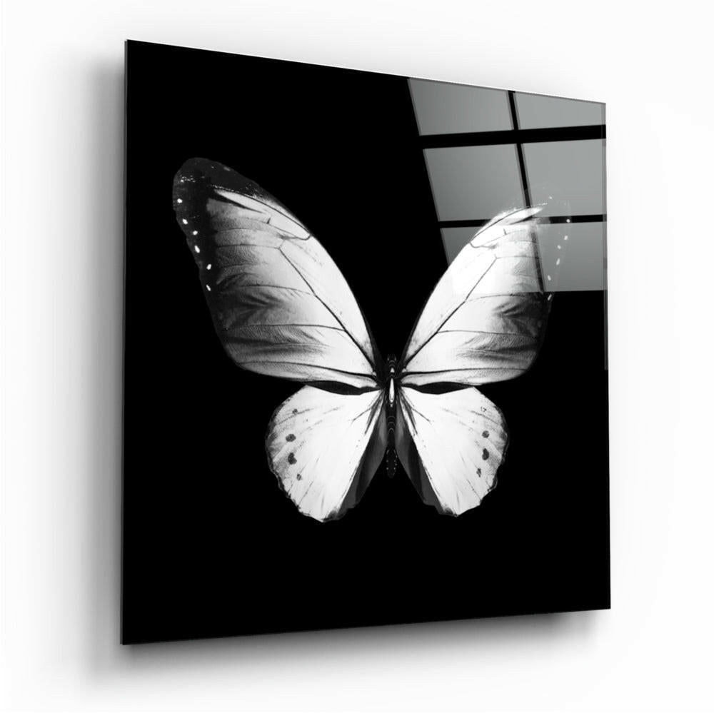 White Wings On Black Butterfly Glass Wall Art