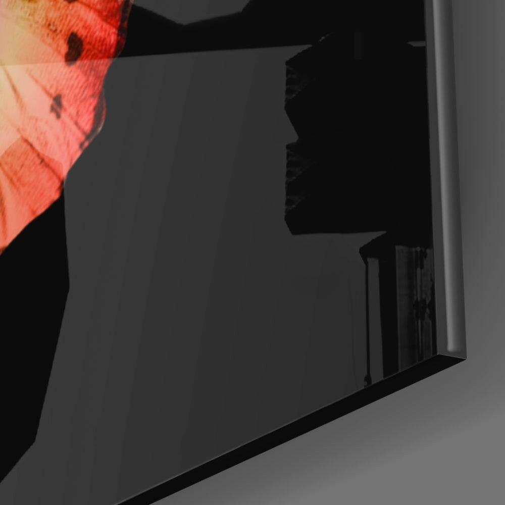 Fiery Red And Orange Wings Butterfly Glass Wall Art