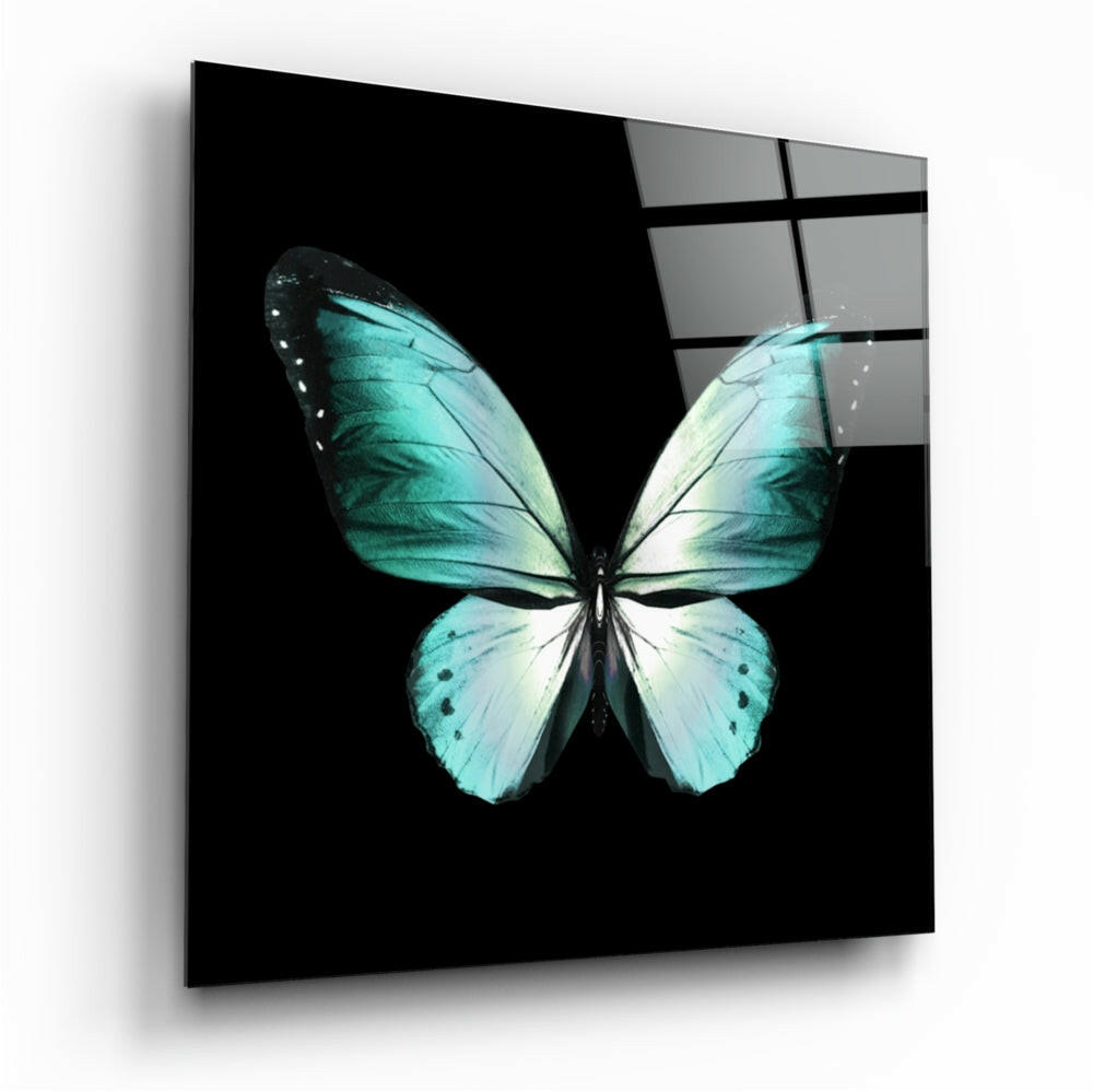 Turquoise Wings On Black Butterfly Glass Wall Art