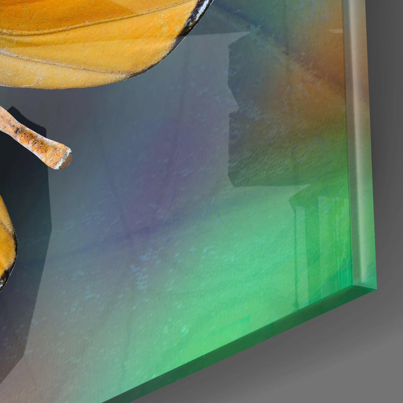 Orange Butterfly on Teal Glass Wall Art