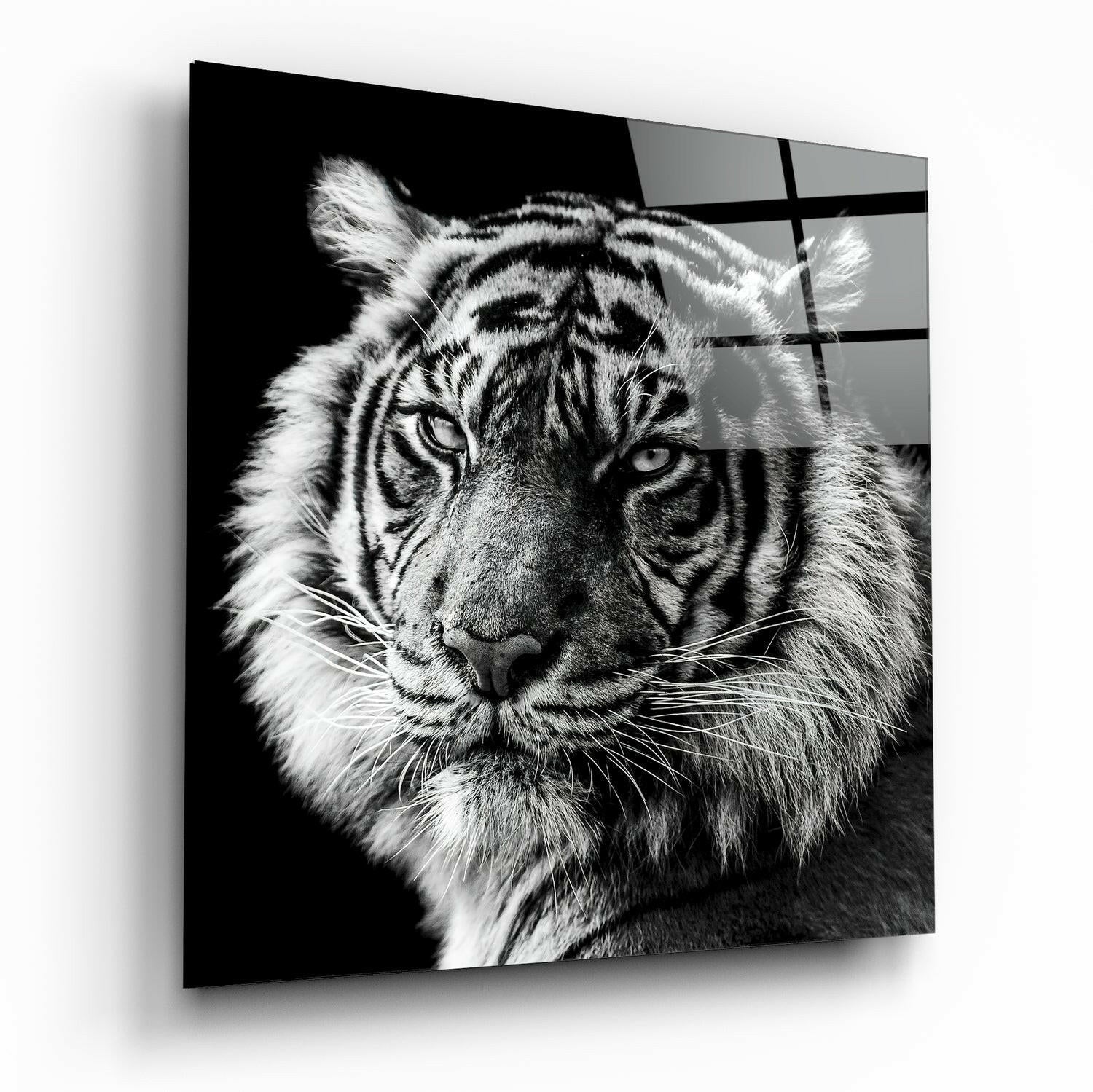 Tiger&