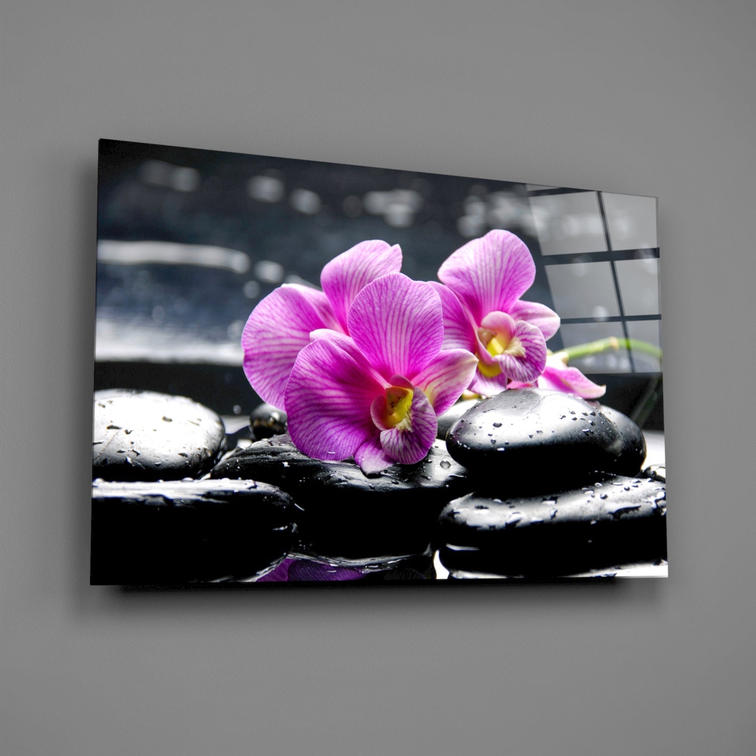 Magenta Orchid Pair Black Stones Glass Wall Art