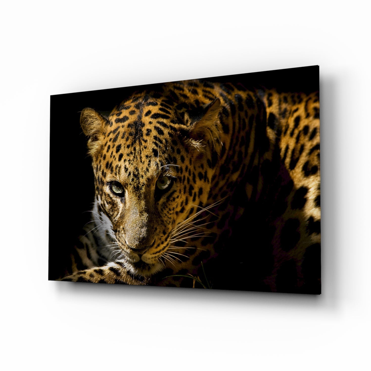 Leopar Glass Wall Art