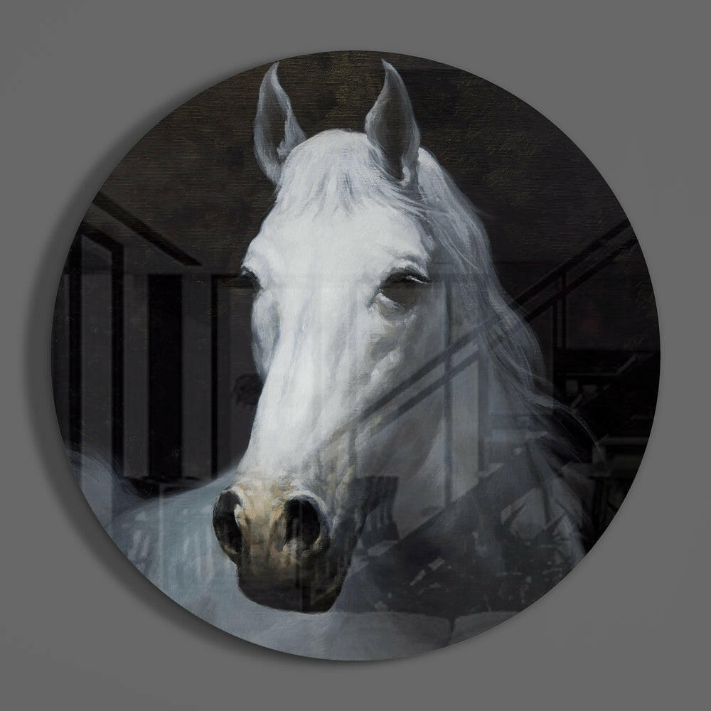 White Horse Portrait Circle Glass Wall Art