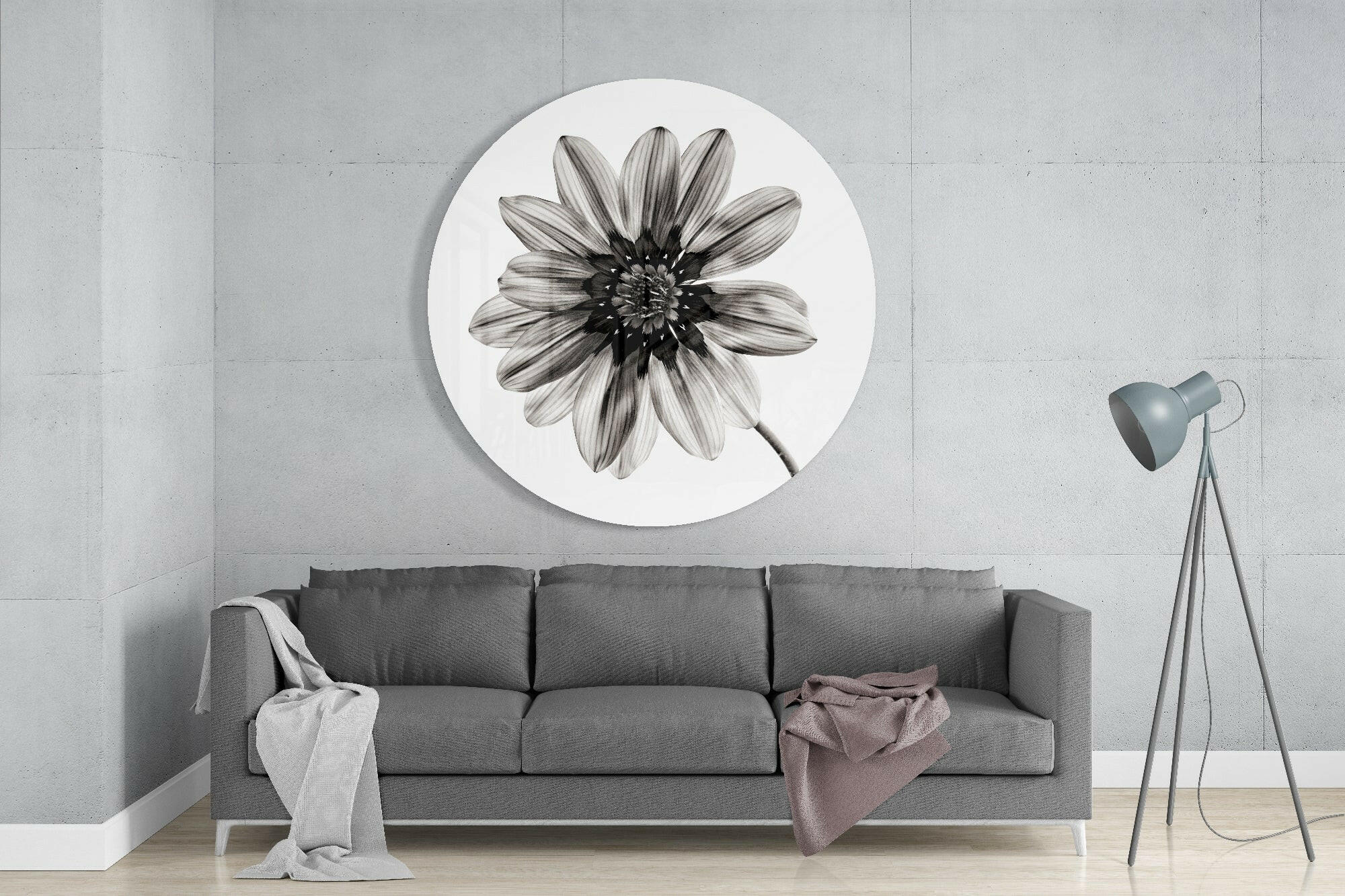 Monochrome Gazania Daisy Glass Wall Art