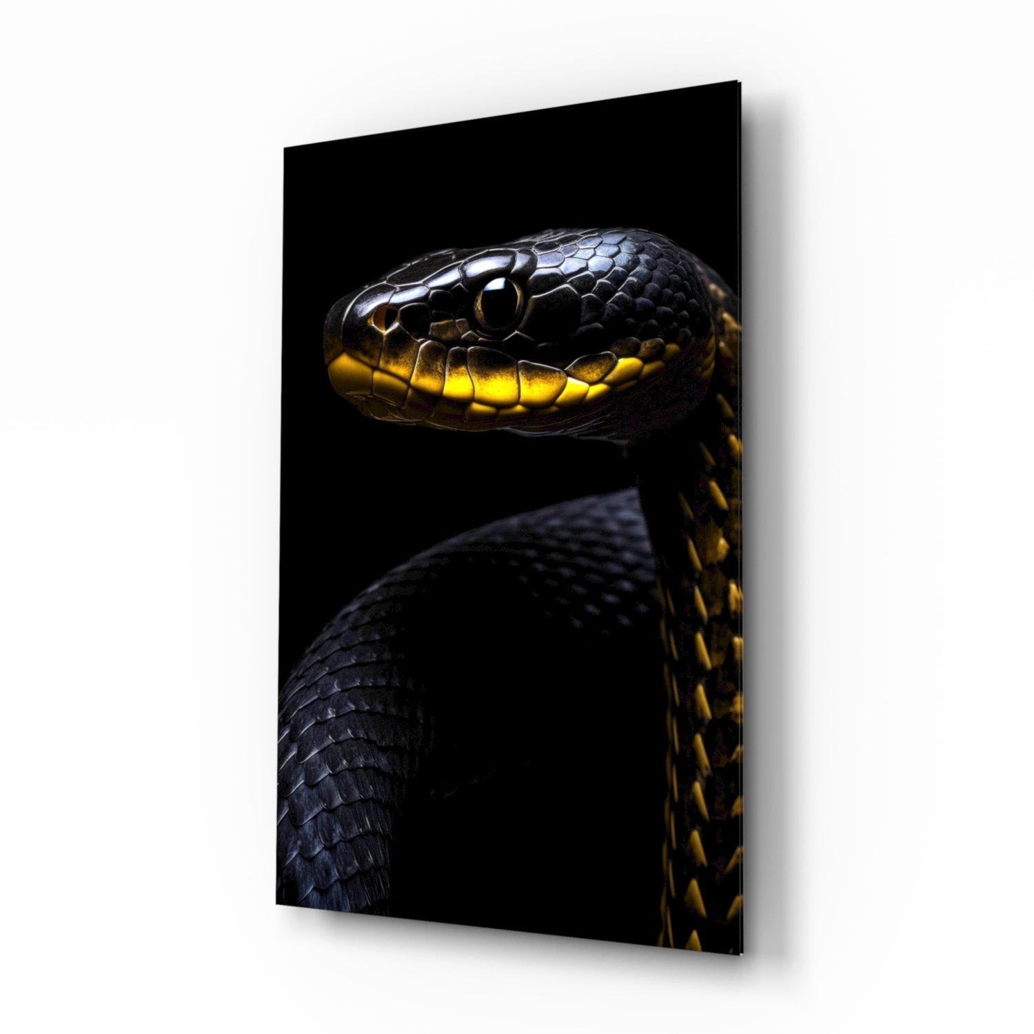 Black and Yellow Viper Glass Wall Art || Designer Collection