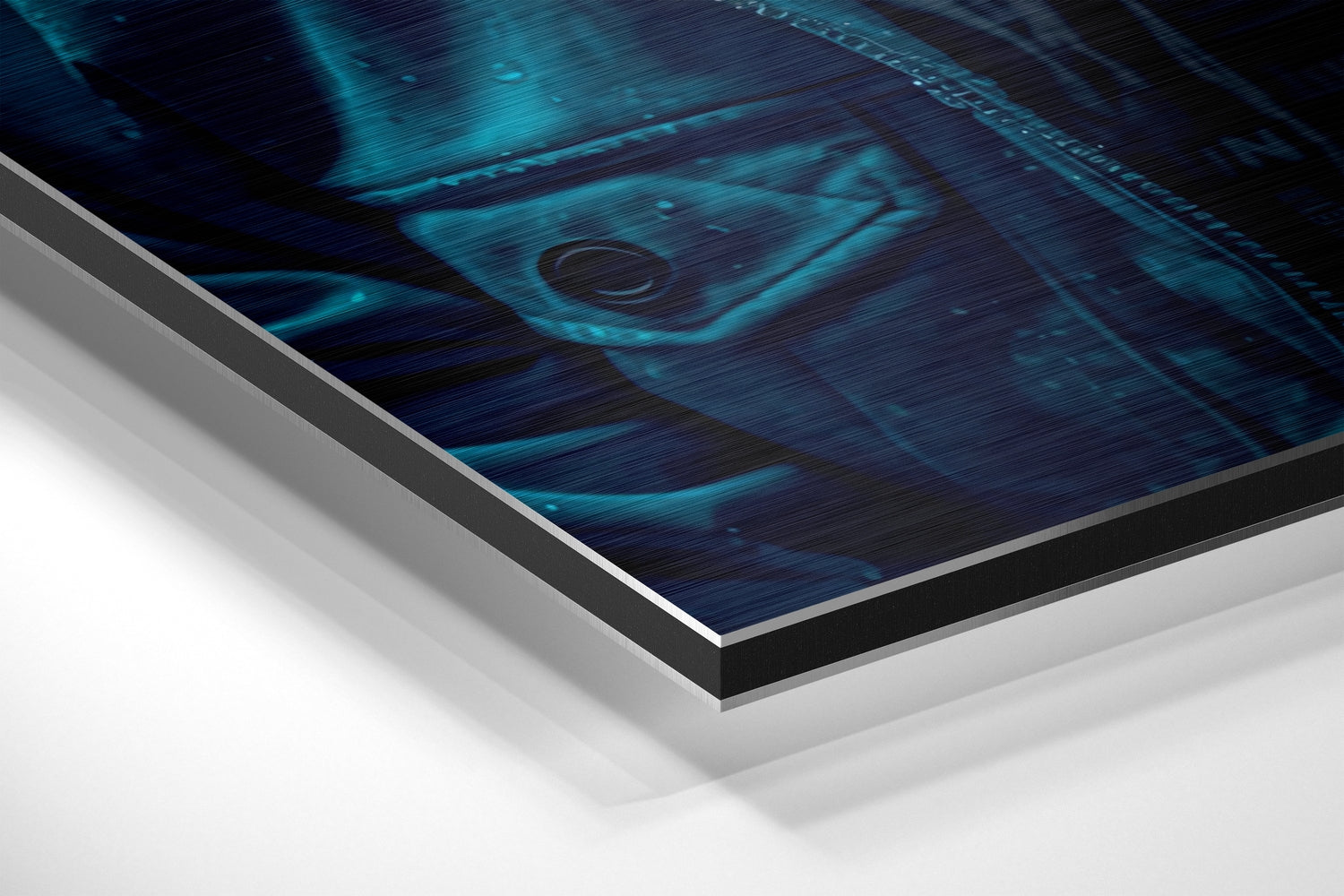 Dark Teal Hoodie Gorilla Aluminum Brushed Aluminum Dibond Wall Art