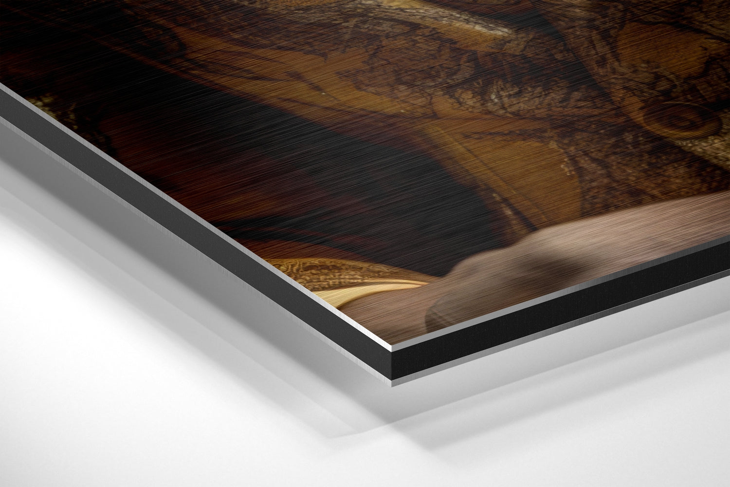 Mr. Lion Brushed Aluminum Dibond Wall Art