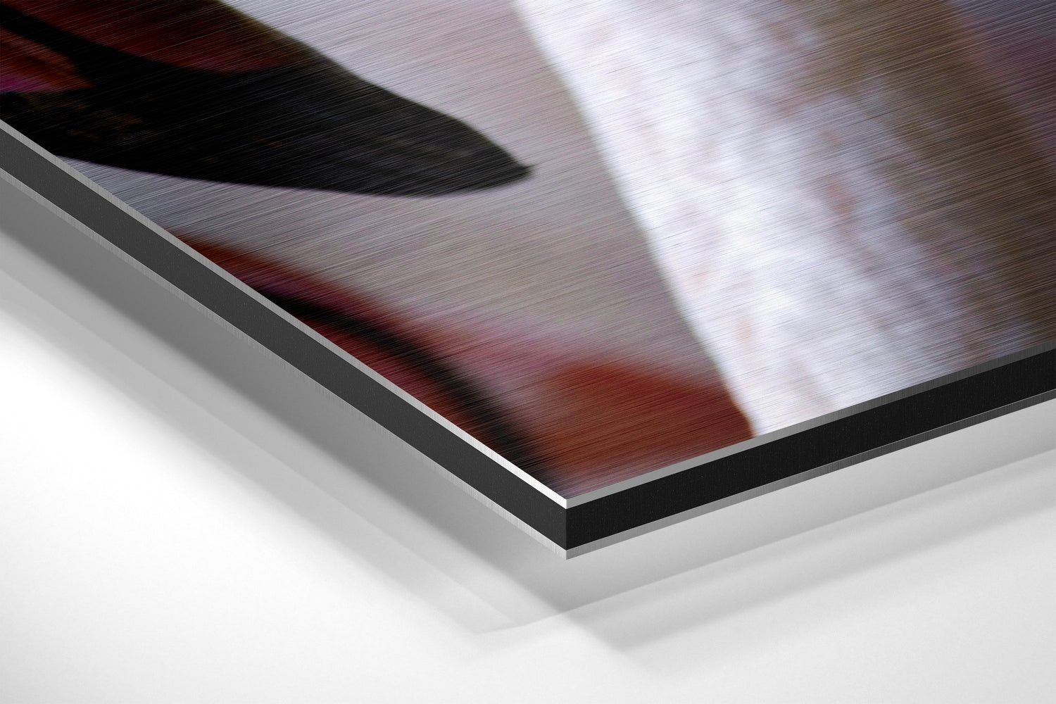 Flamingo Portrait Closeup Brushed Aluminium Dibond Wall Art