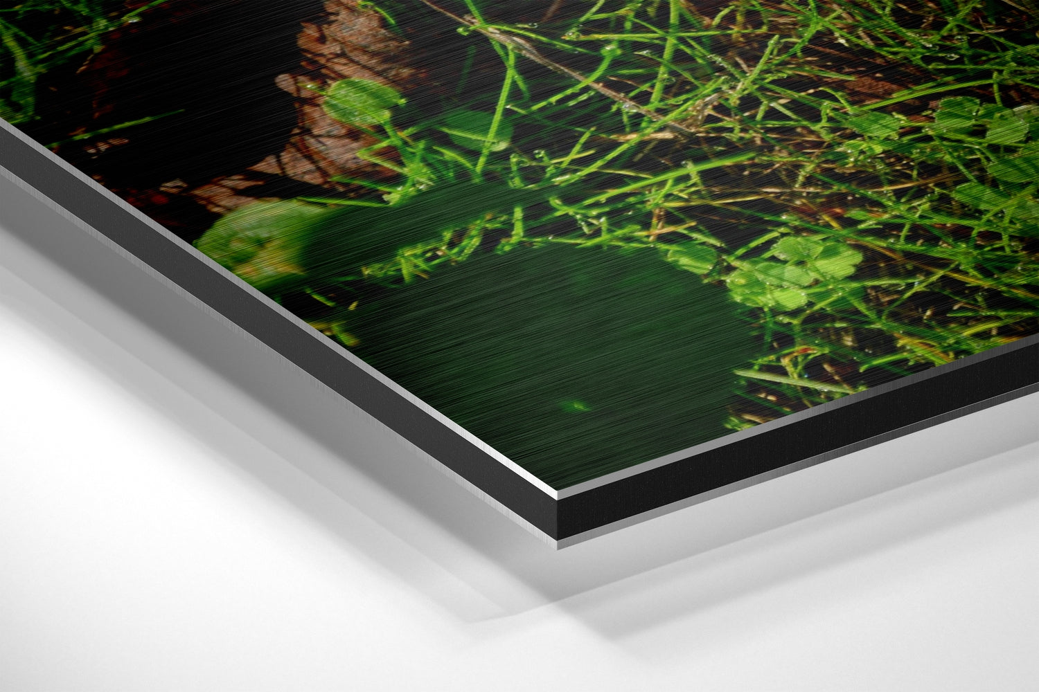 Autumn Leaf Brushed Aluminium Dibond Wall Art