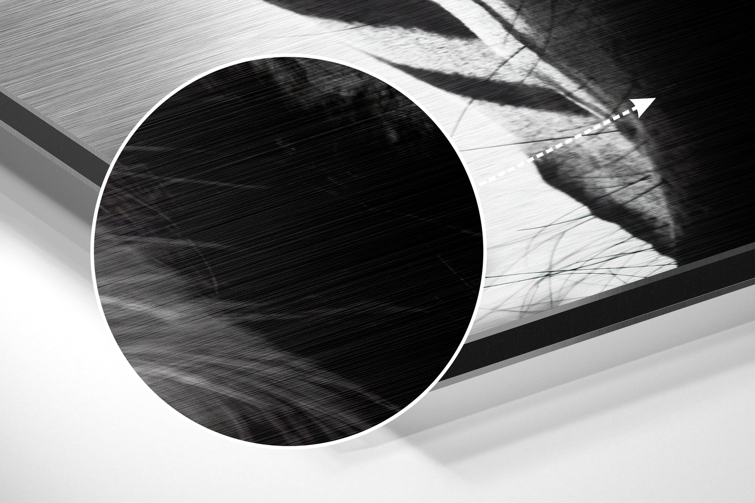 Buffalo Brushed Aluminium Dibond Wall Art