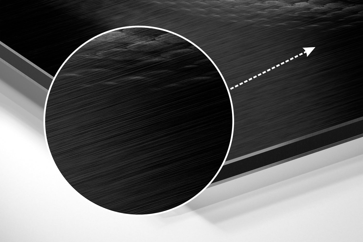 Snake Brushed Aluminium Dibond Wall Art