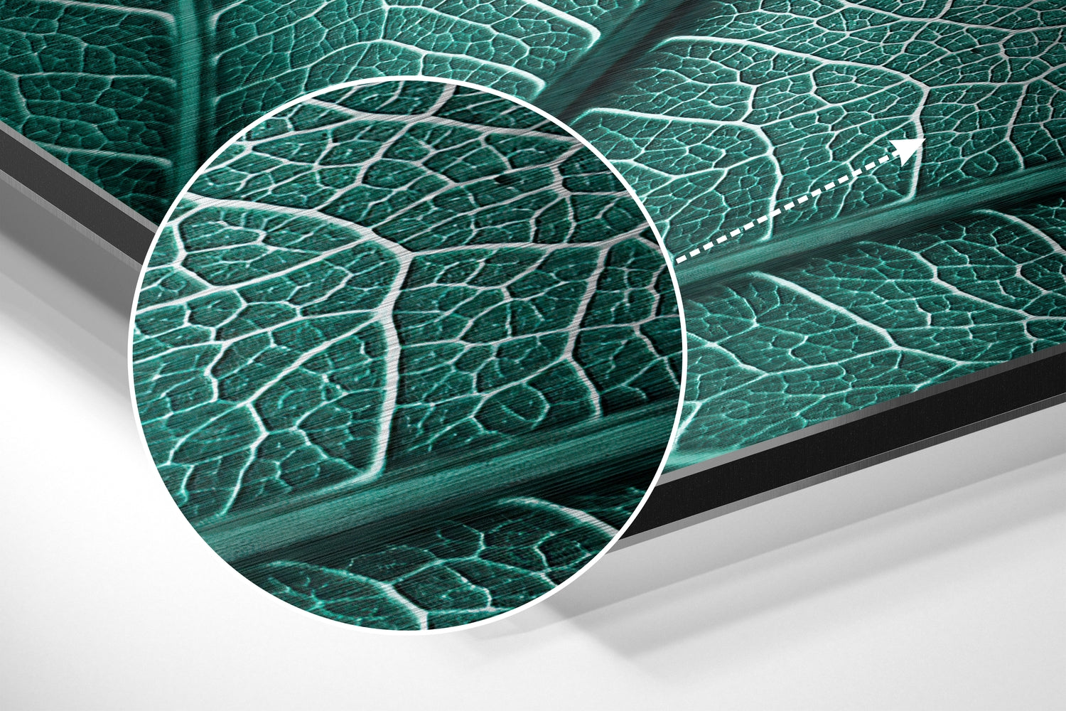 Teal Green Leaf Veins Macro Brushed Aluminium Dibond Wall Art