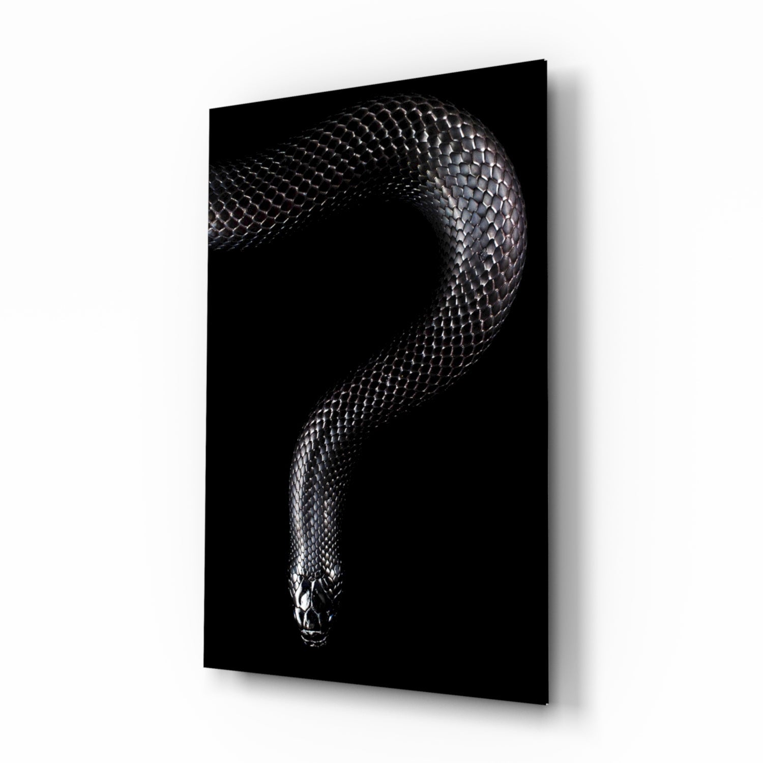 Silver Scaled Snake Descending Dark Glass Wall Art