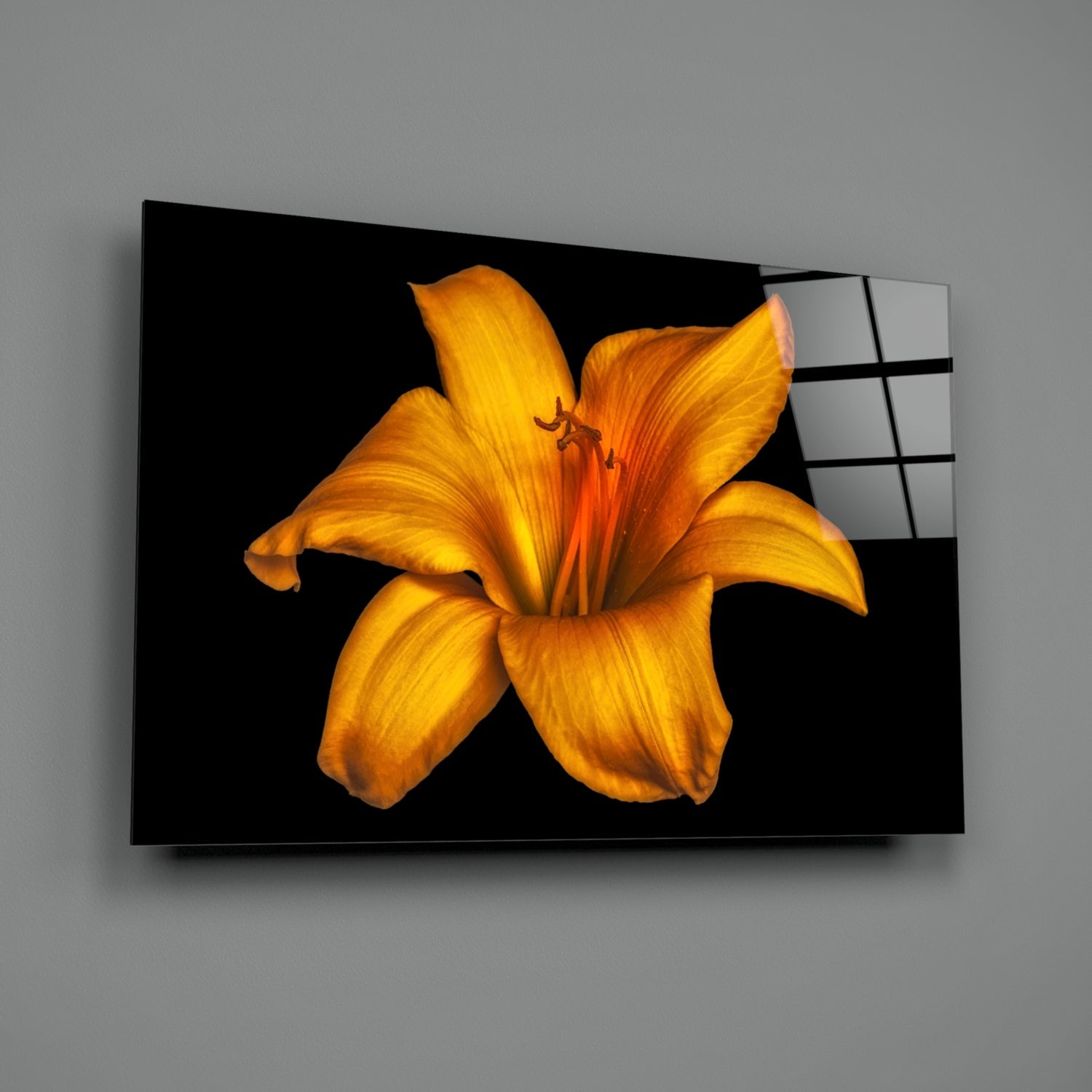 Golden Orange Lily On Black Glass Wall Art