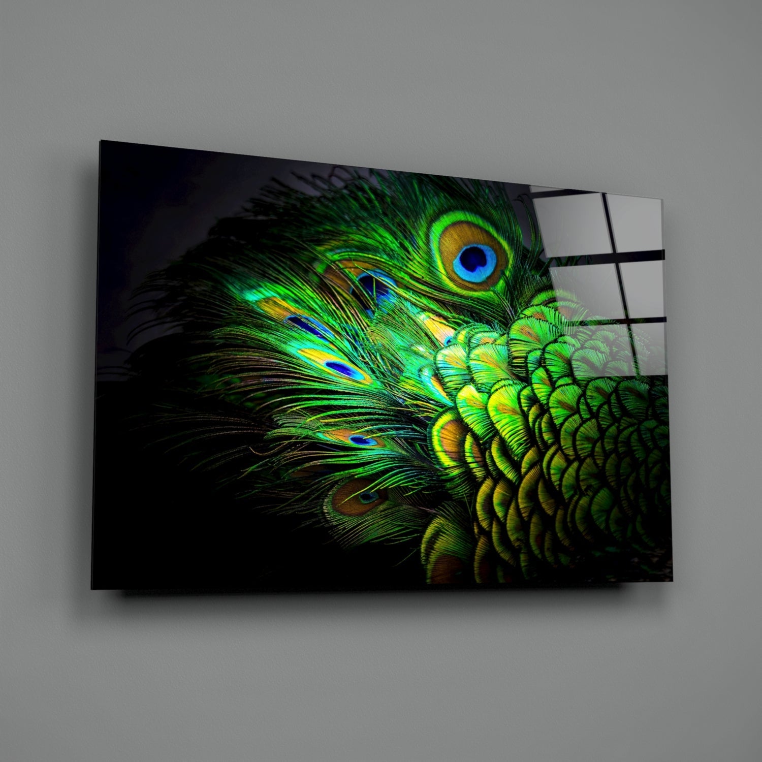 Emerald Peacock Plumage Closeup Glass Wall Art
