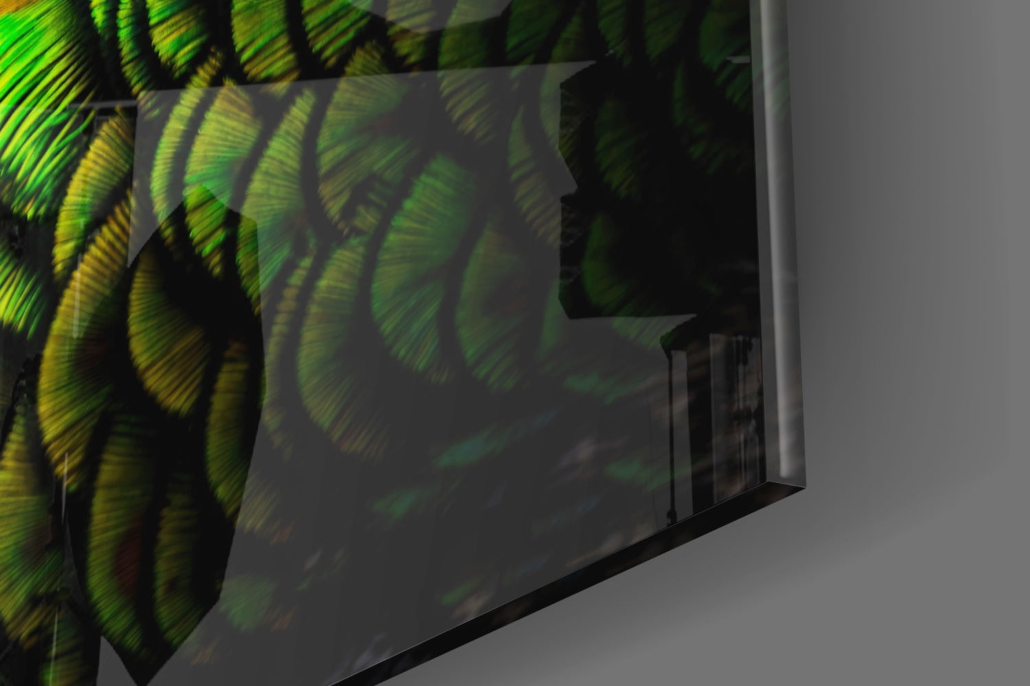 Emerald Peacock Plumage Closeup Glass Wall Art