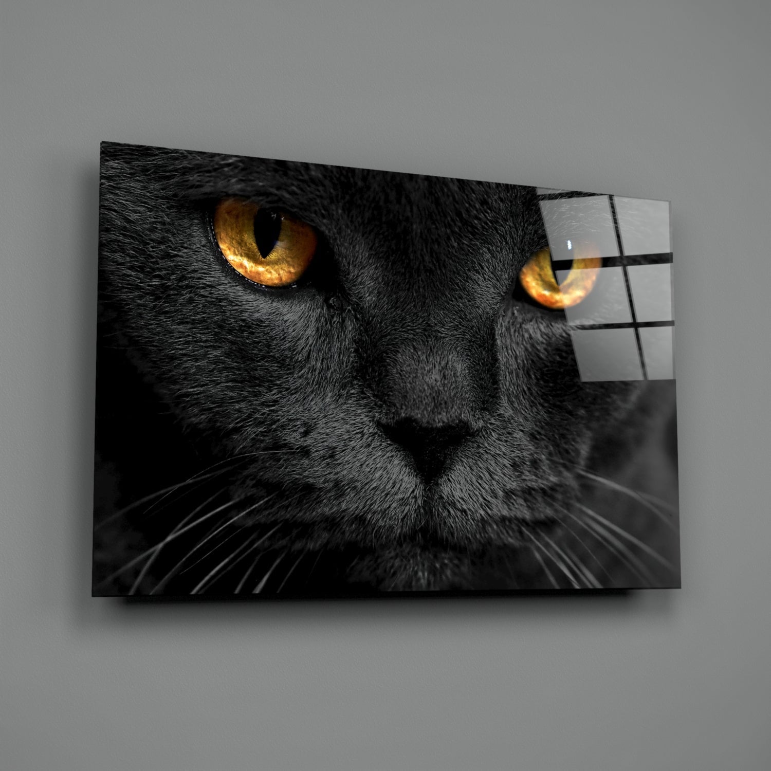 Golden Eyed Black Cat Glass Wall Art
