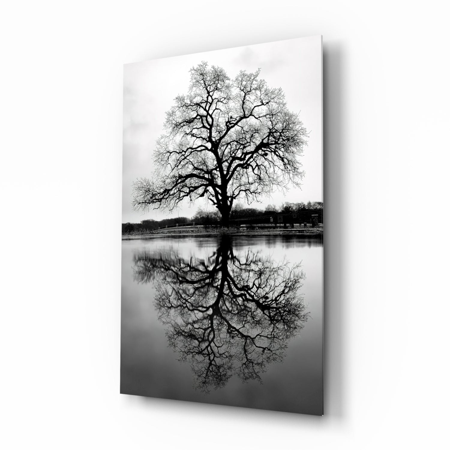 Bare Tree Lake Reflection Black White Glass Wall Art