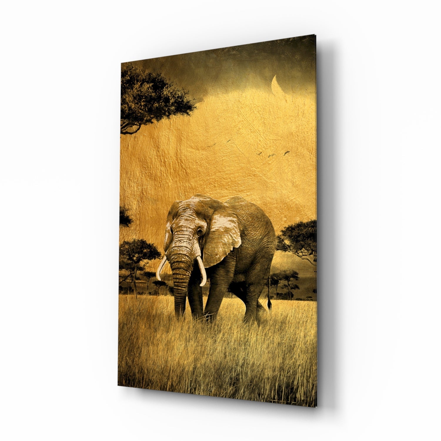 Golden Savanna Acacia Elephant Glass Wall Art