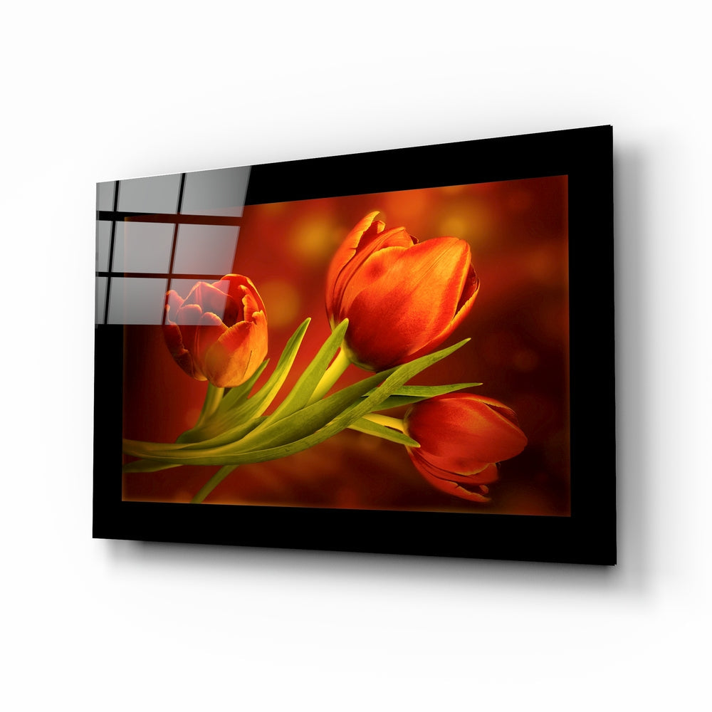 Three Red Tulips on Dark Amber Glass Wall Art