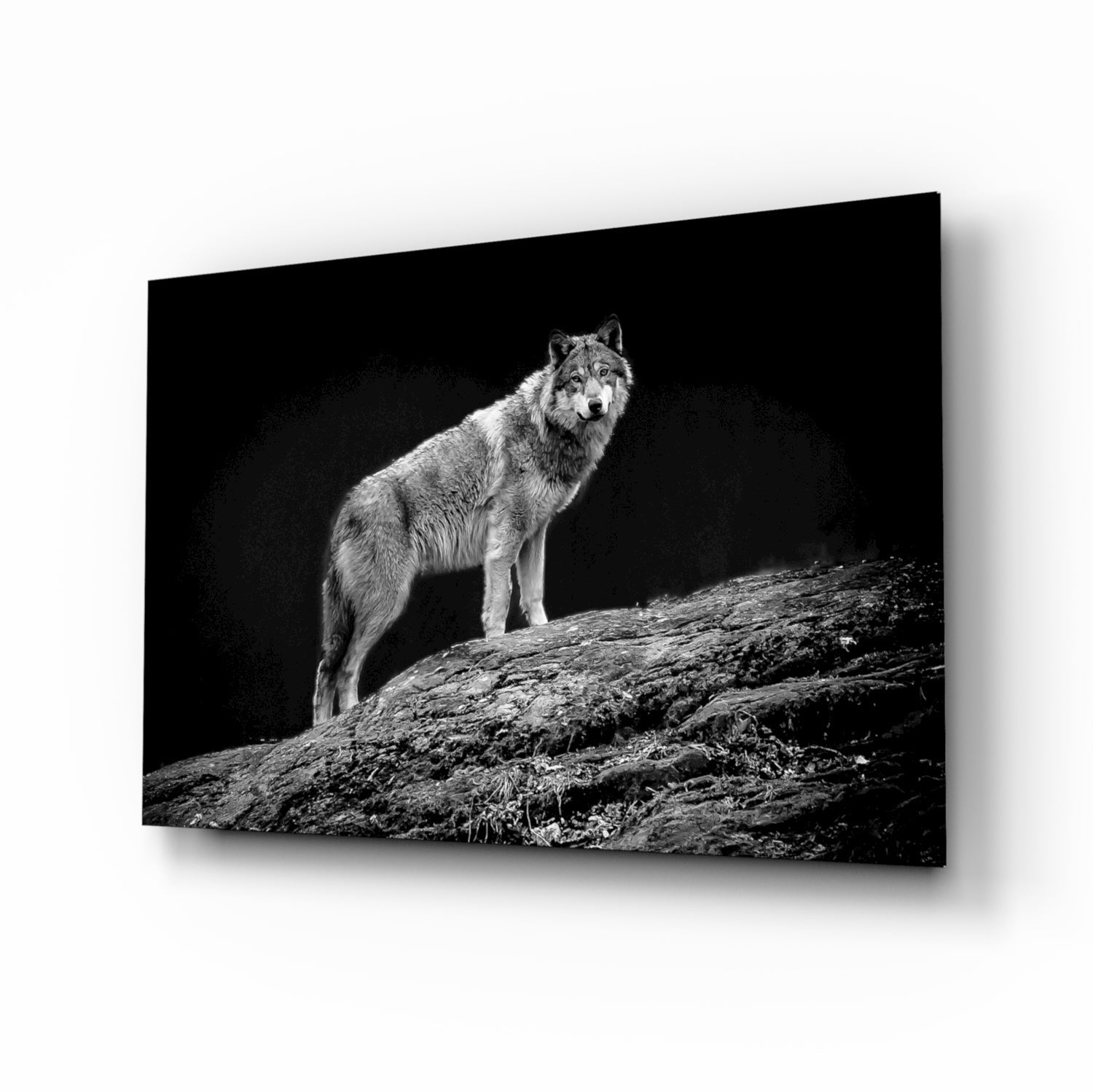 Wolf on Rocky Ridge Glass Wall Art