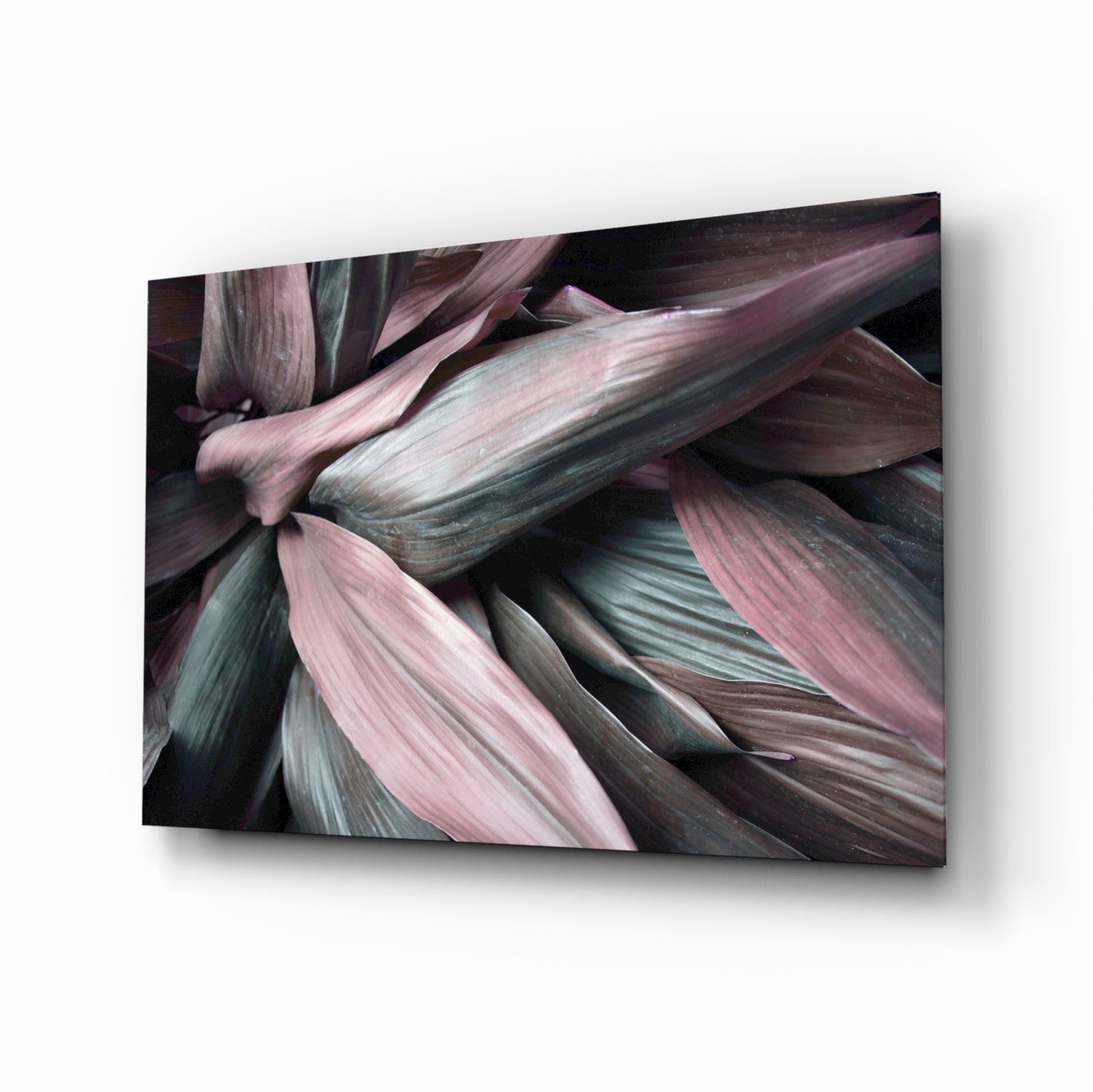 Pink Green Macro Leaves Glass Wall Art