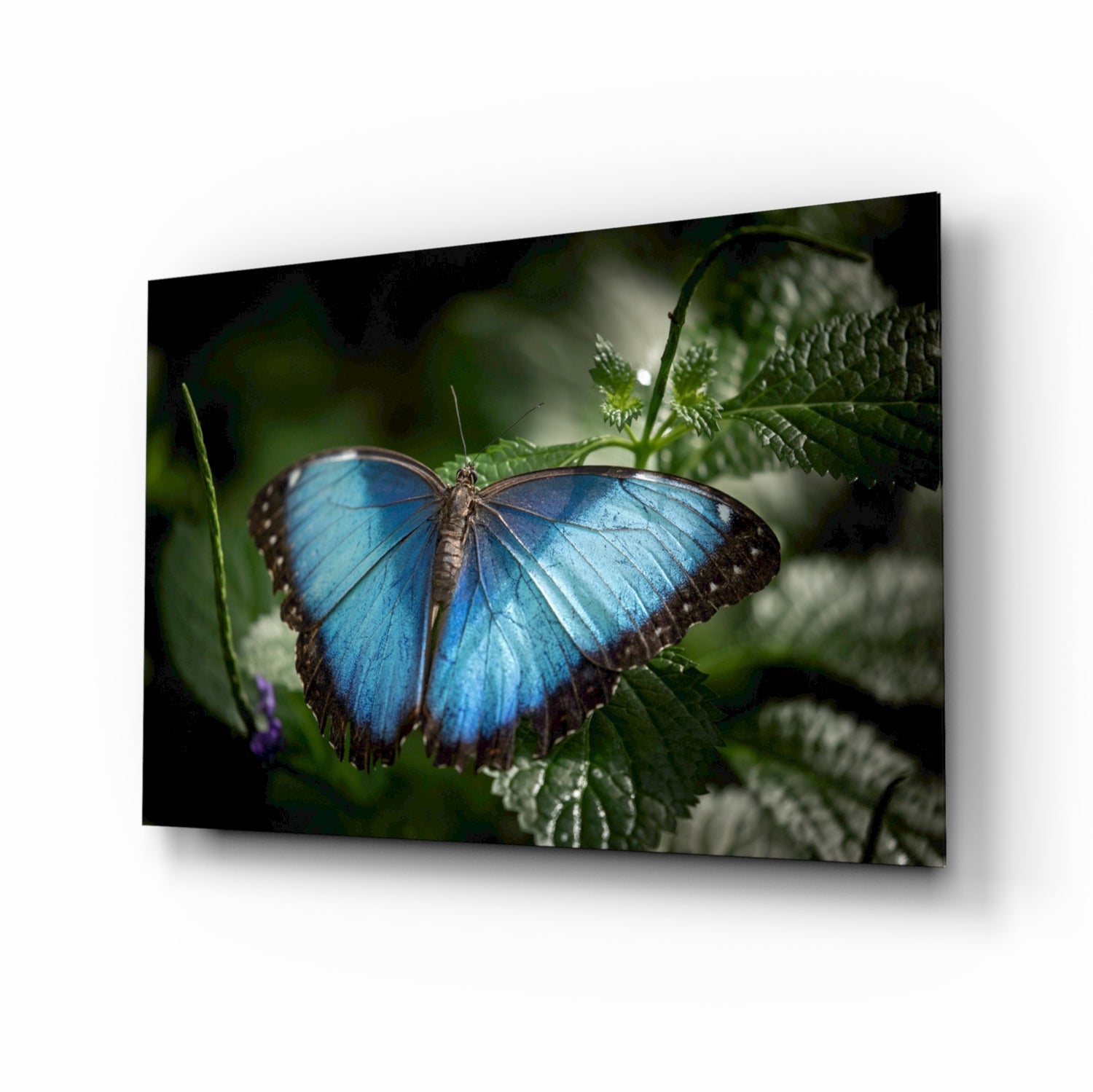 Blue Morpho on Leaves Butterfly Glass Wall Art