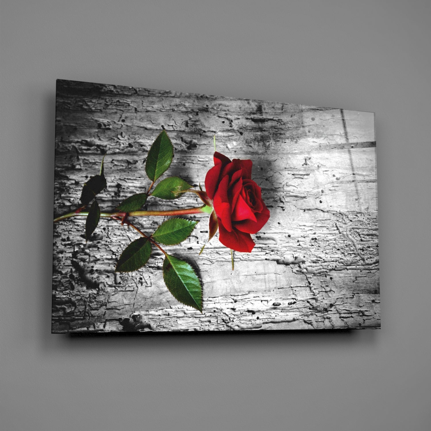 Single Red Rose on Weathered Wood Glass Wall Art