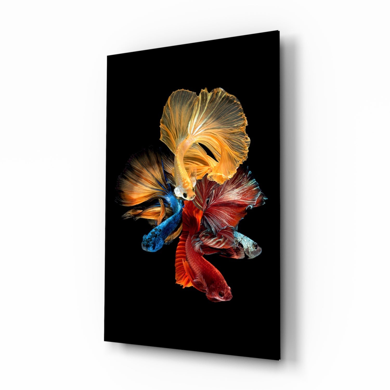 Betta&