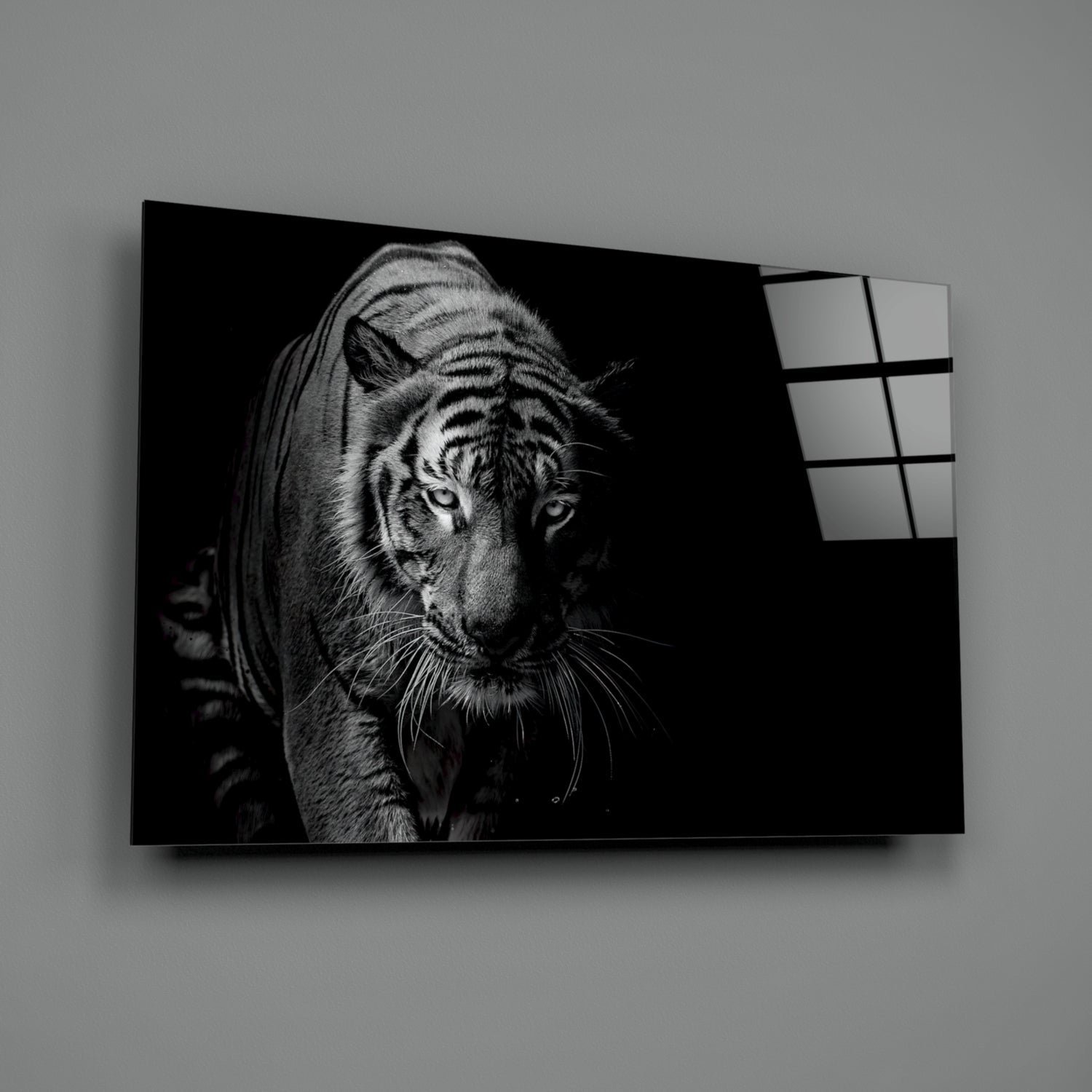 Tiger Emerging From Shadow Glass Wall Art