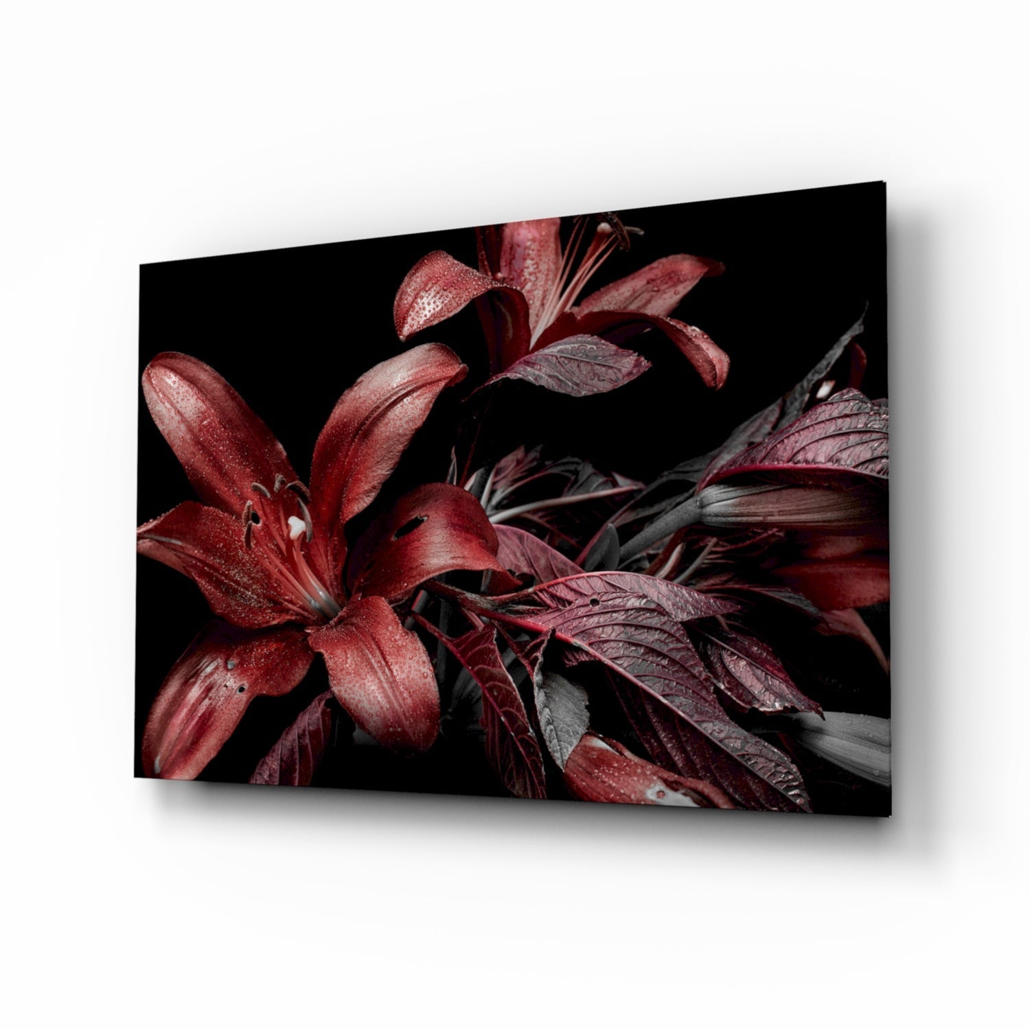 Crimson Dewy Lilies on Black Glass Wall Art