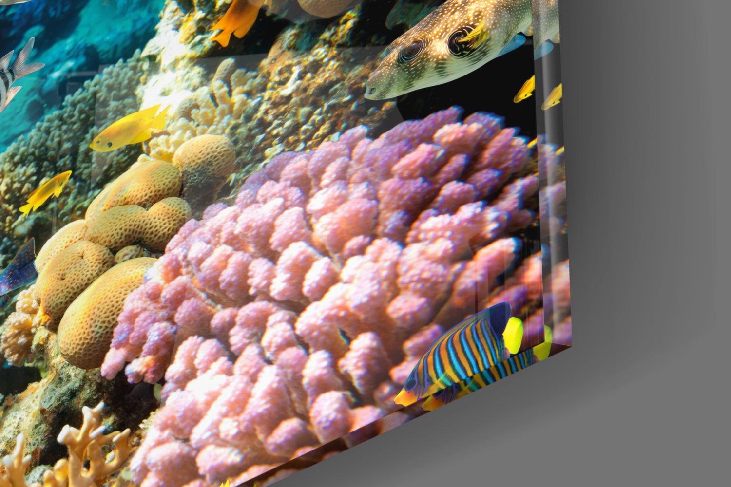Underworld Glass Wall Art