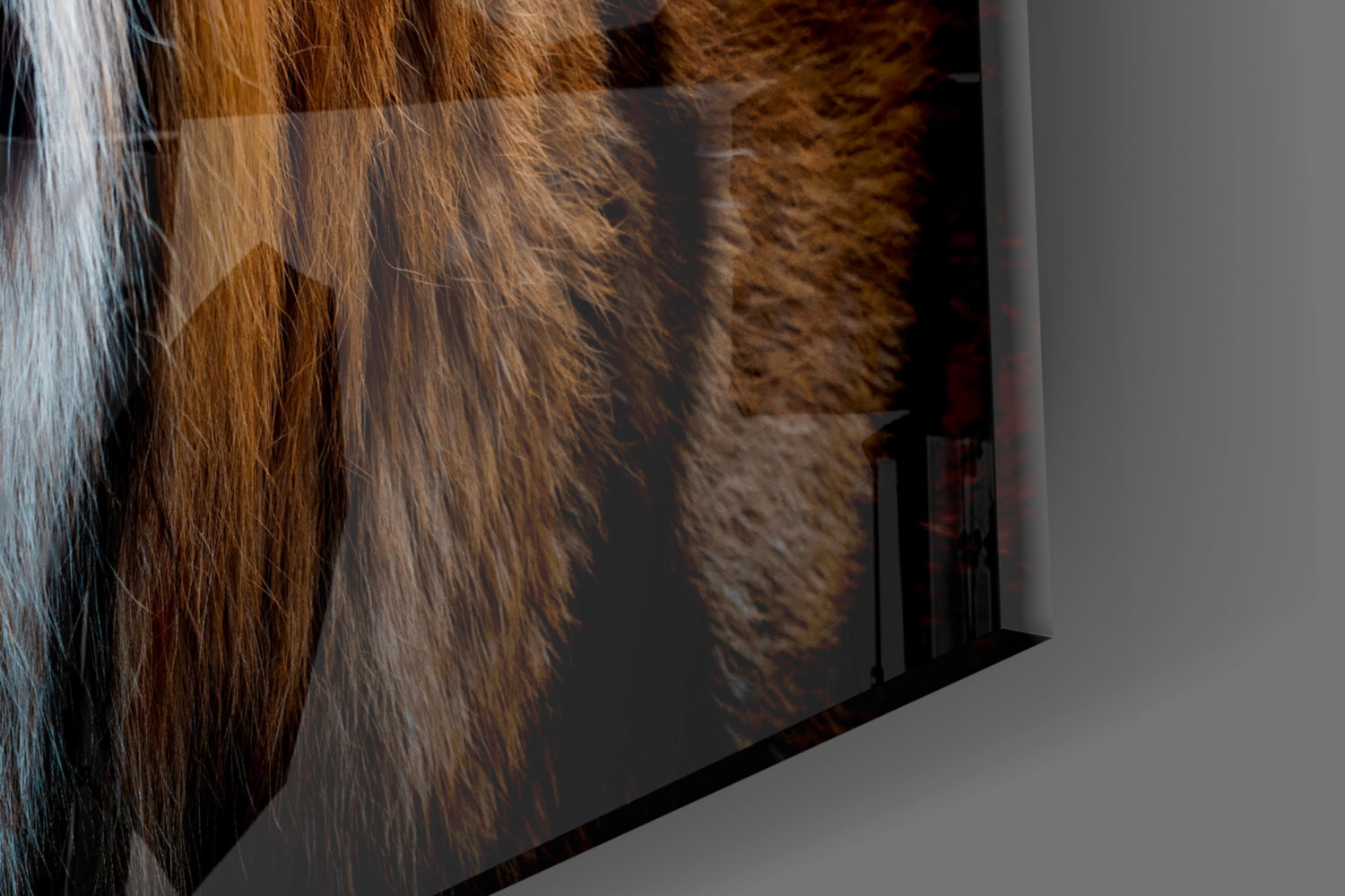 Tiger Side Profile Glass Wall Art