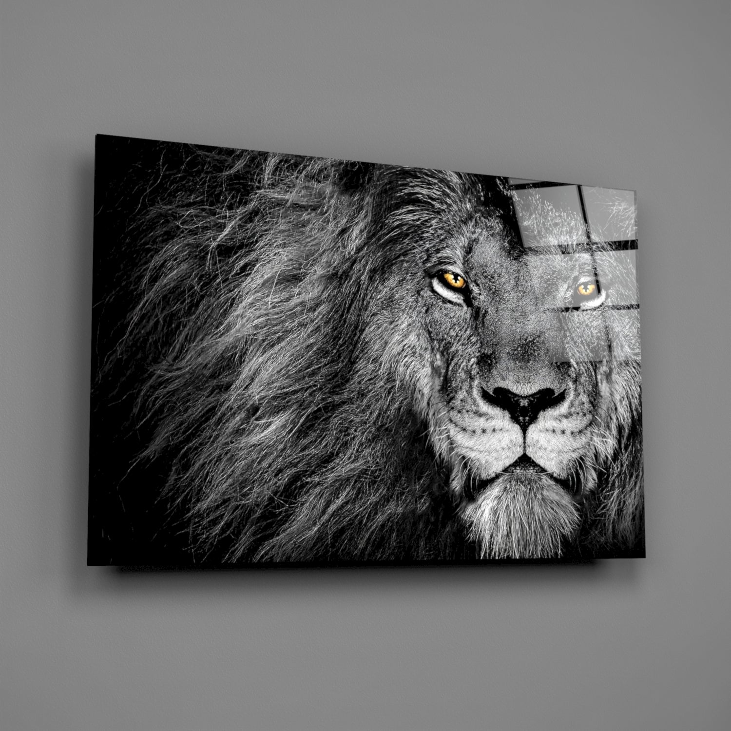 Amber Gaze Monochrome Lion Glass Wall Art