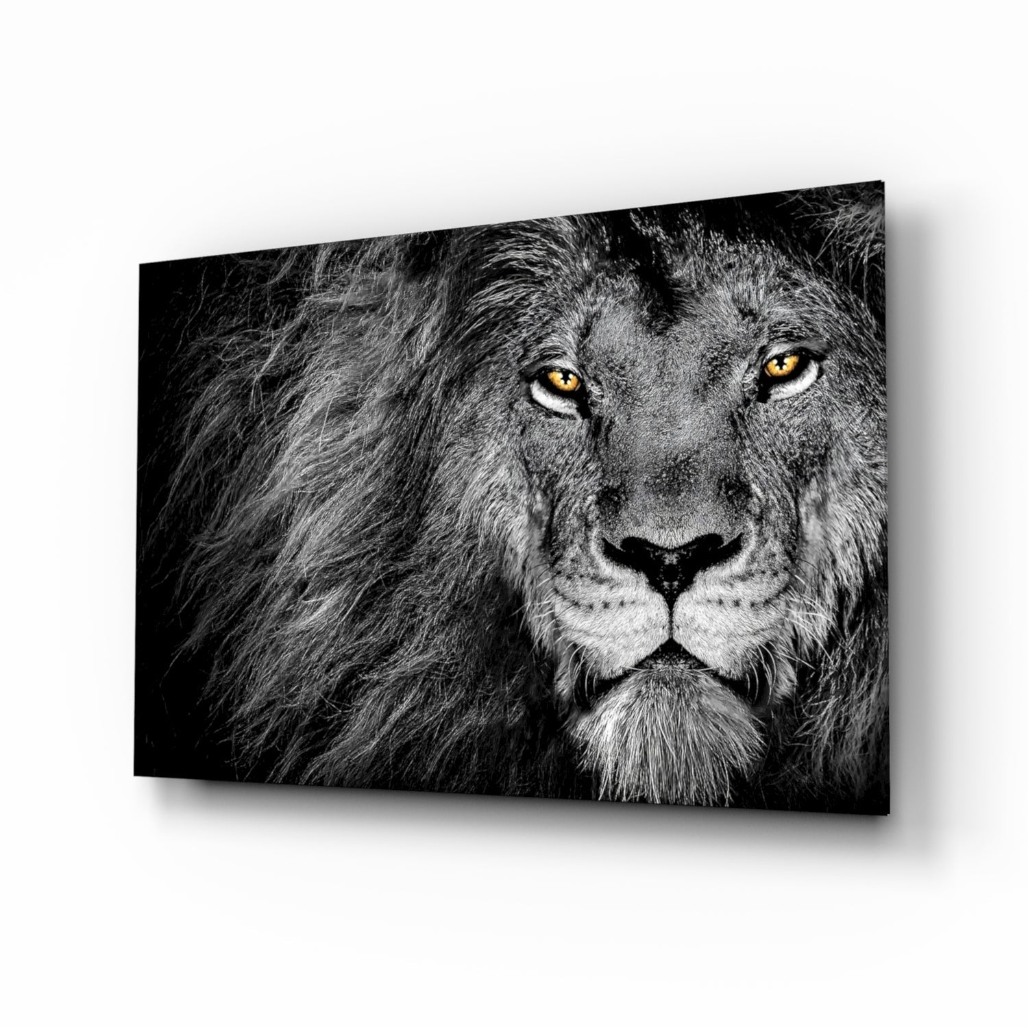Amber Gaze Monochrome Lion Glass Wall Art