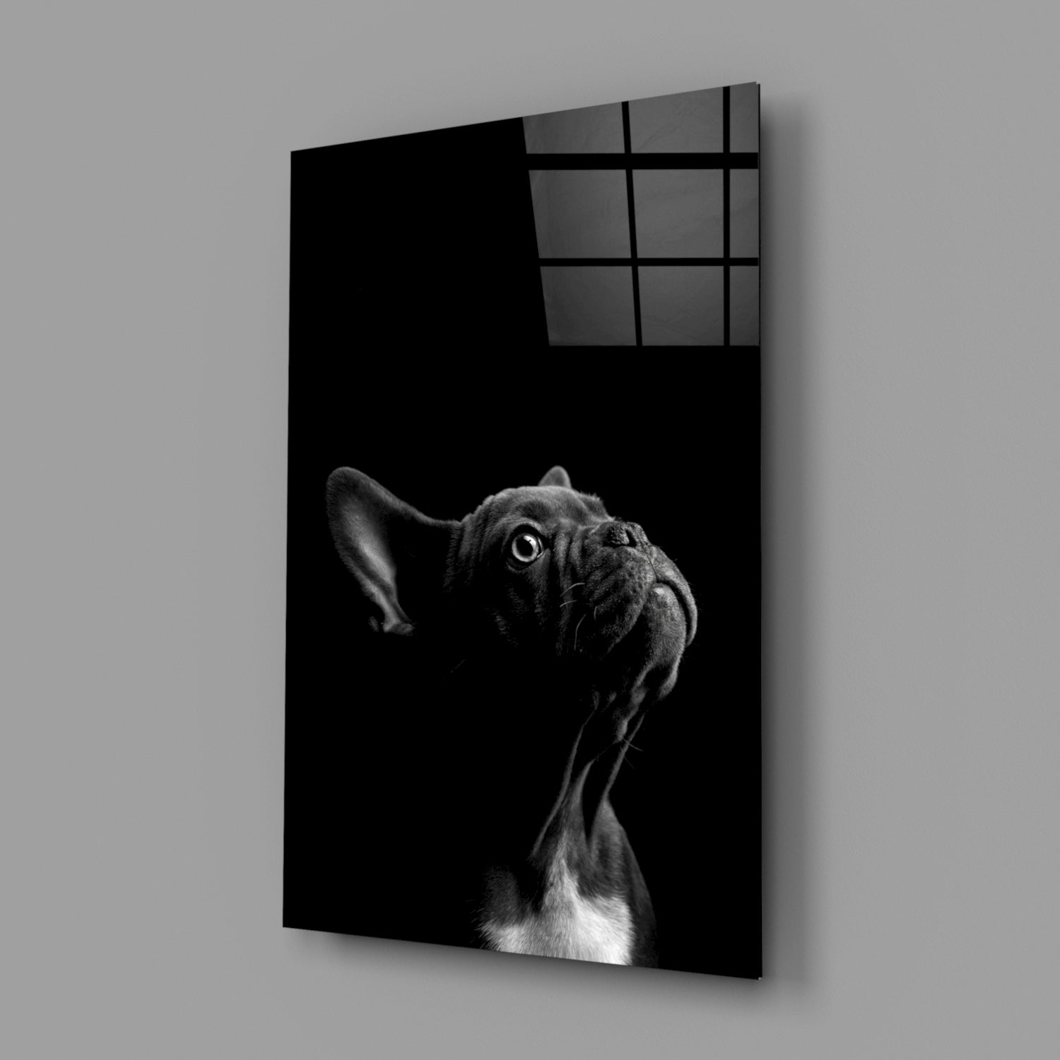 Bulldog Glass Wall Art